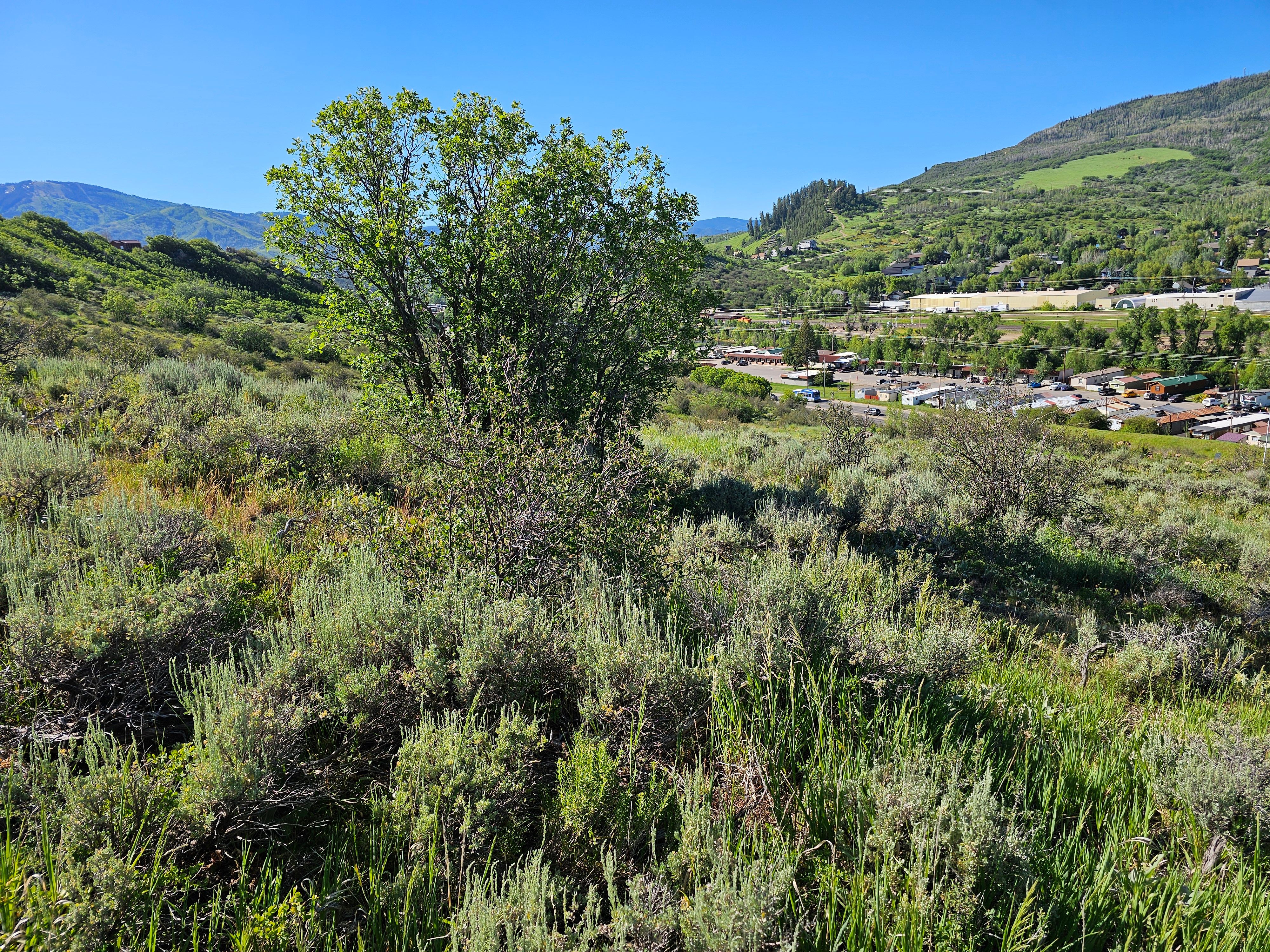 1327 Indian Trail, Steamboat Springs, CO, 80487 - 物件實景