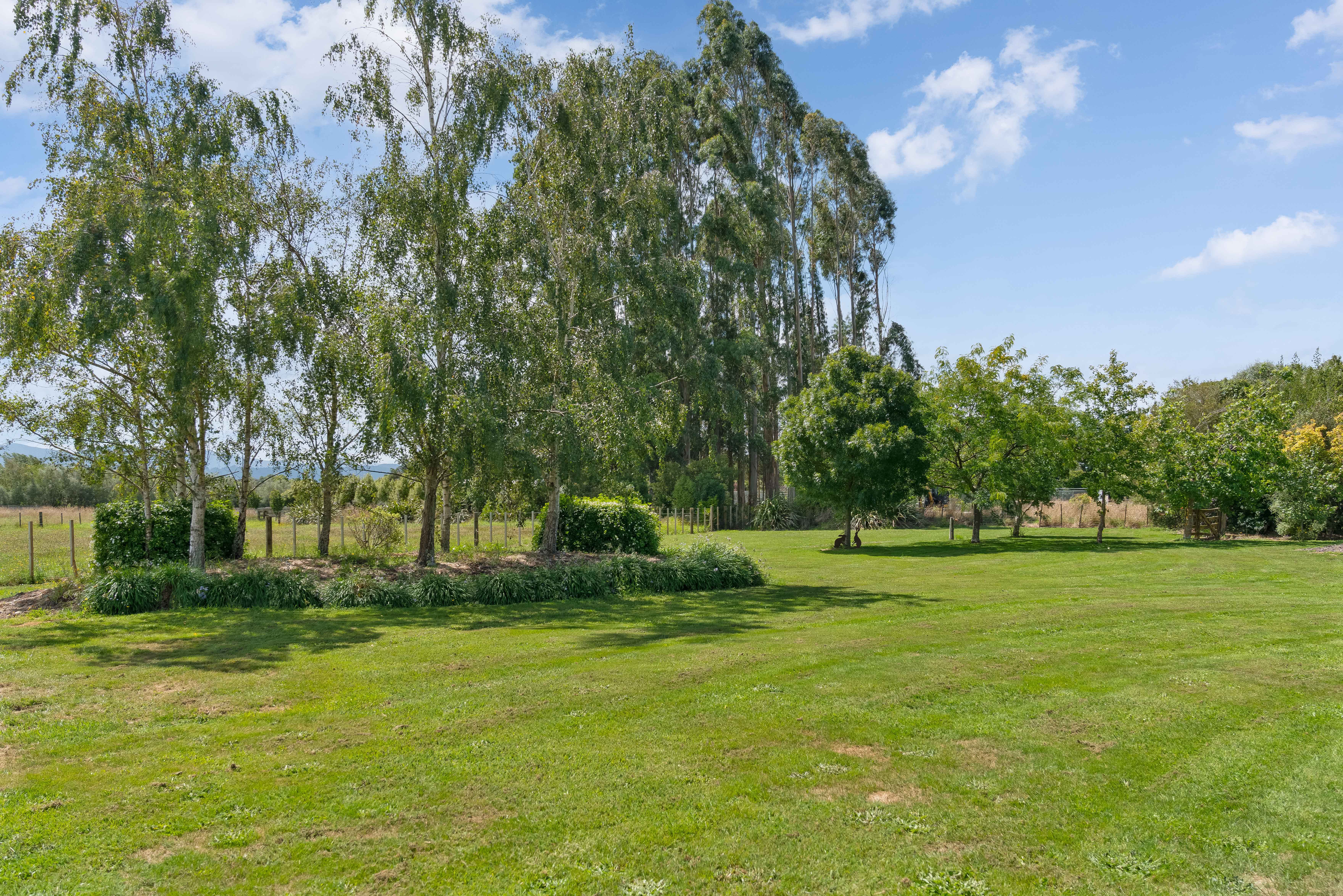  Totara Iti - Premium Lifestyle Awaits - 物件實景