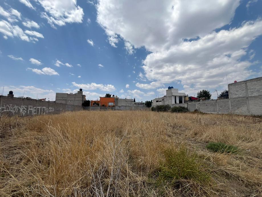 ALLENDE, Texcoco, Estado de méxico, 56255, Mexico, 1 Bedroom Bedrooms, ,Residential,For Sale,ALLENDE,1538396