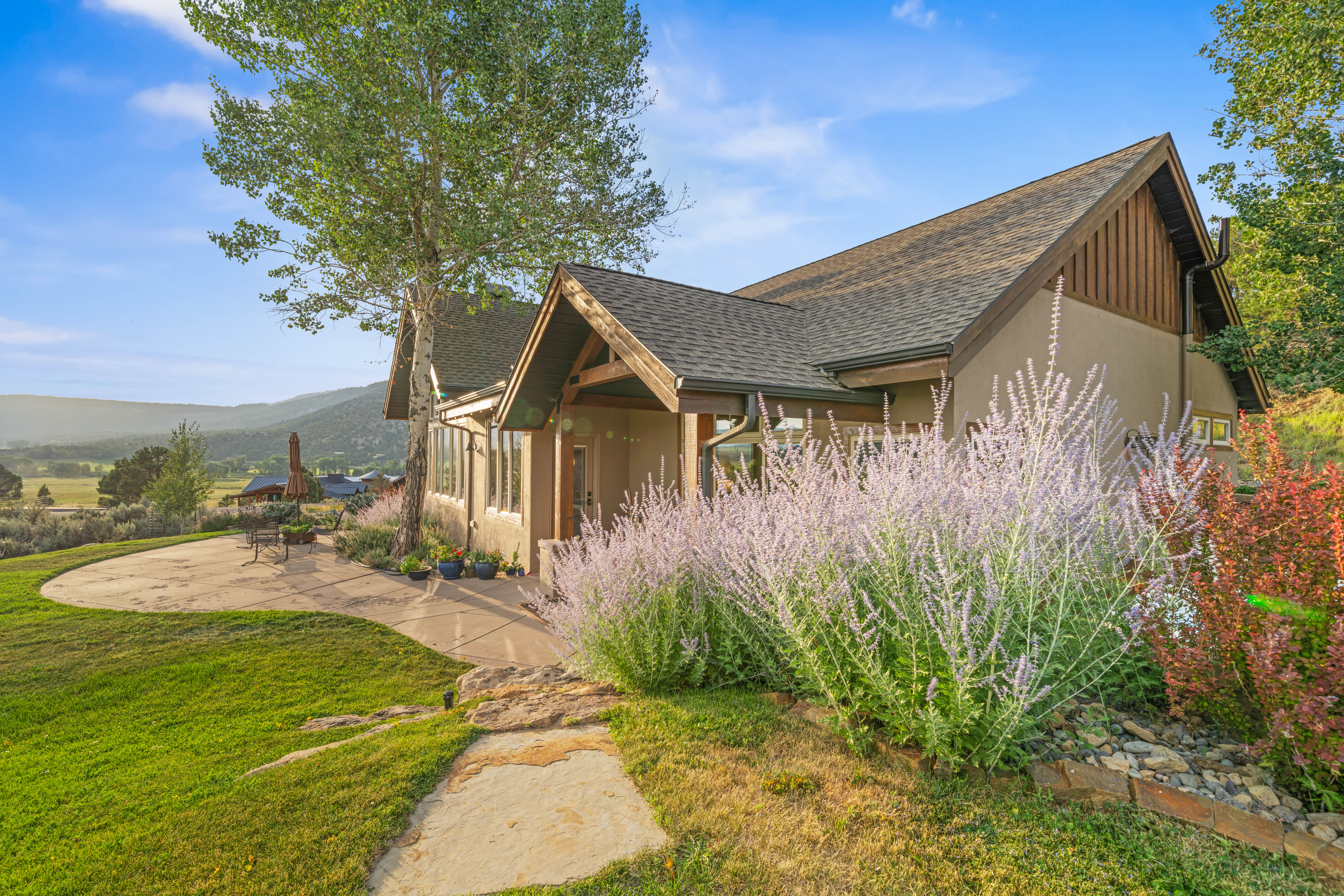  800 Golden Eagle Trail, Ridgway, CO, 81432 - 物件實景