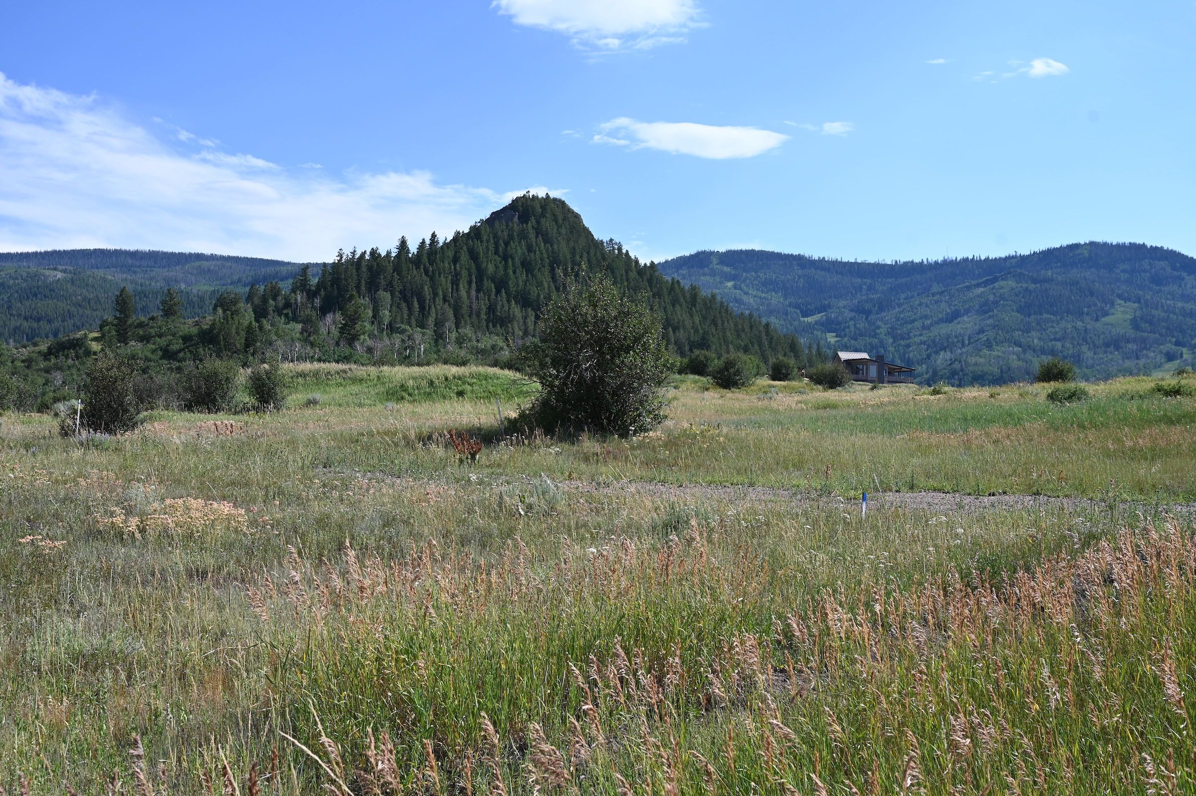  23590 Youngs Creek Way, Oak Creek, CO, 80467 - 物件實景