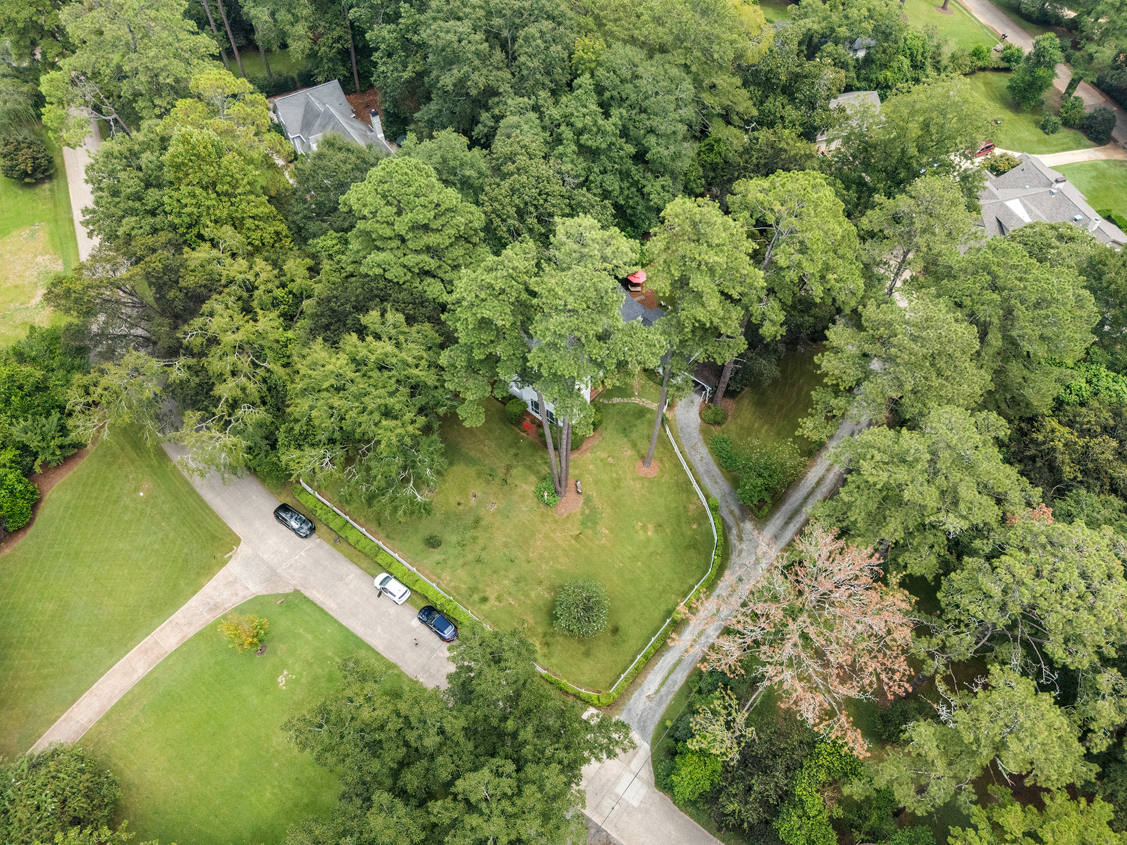  Charming Colonial Revival in the Heart of Historic Shirley Hills - 物件實景