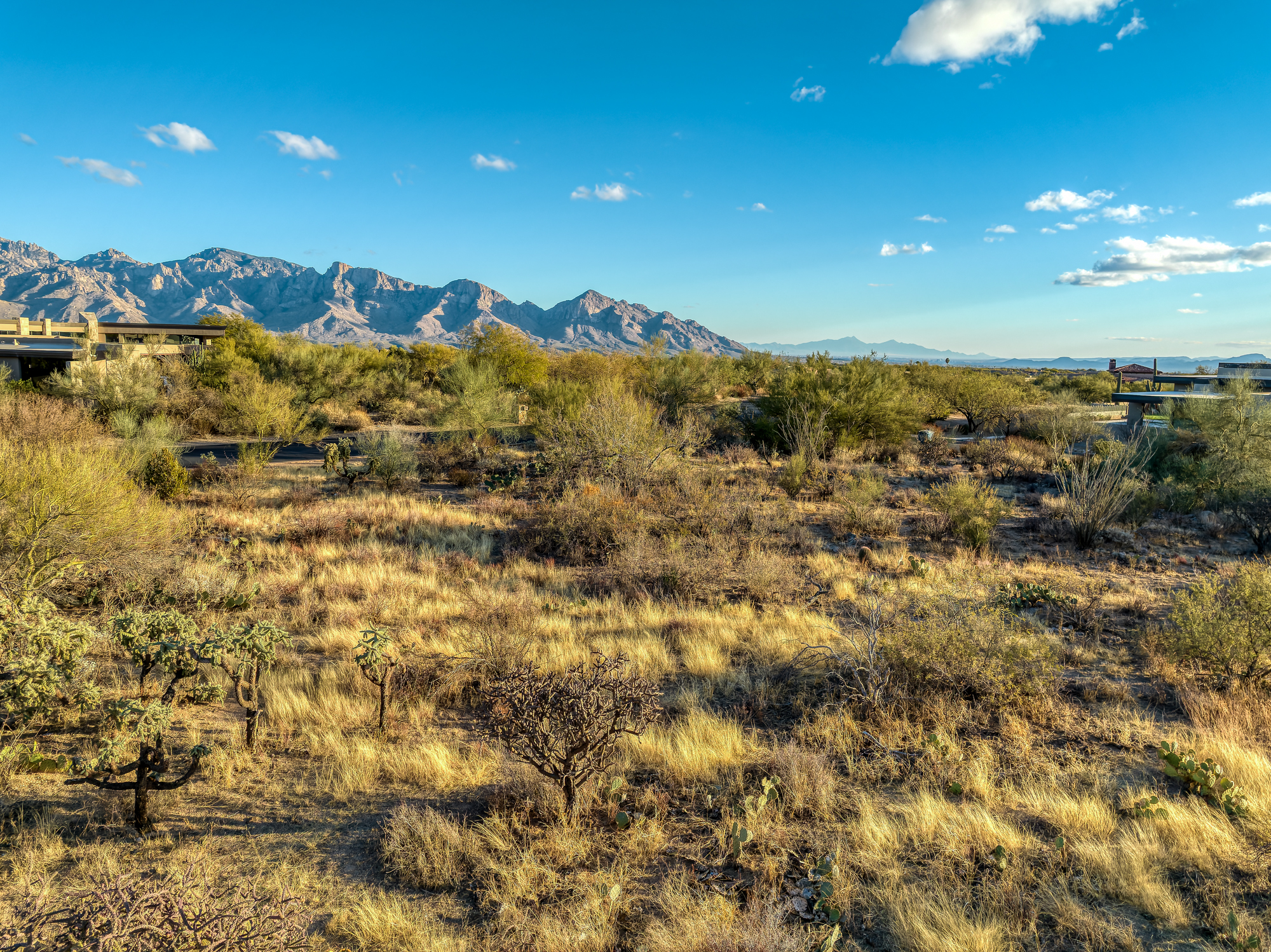  14191 N Giant Saguaro Place¦Oro Valley, AZ - 物件實景