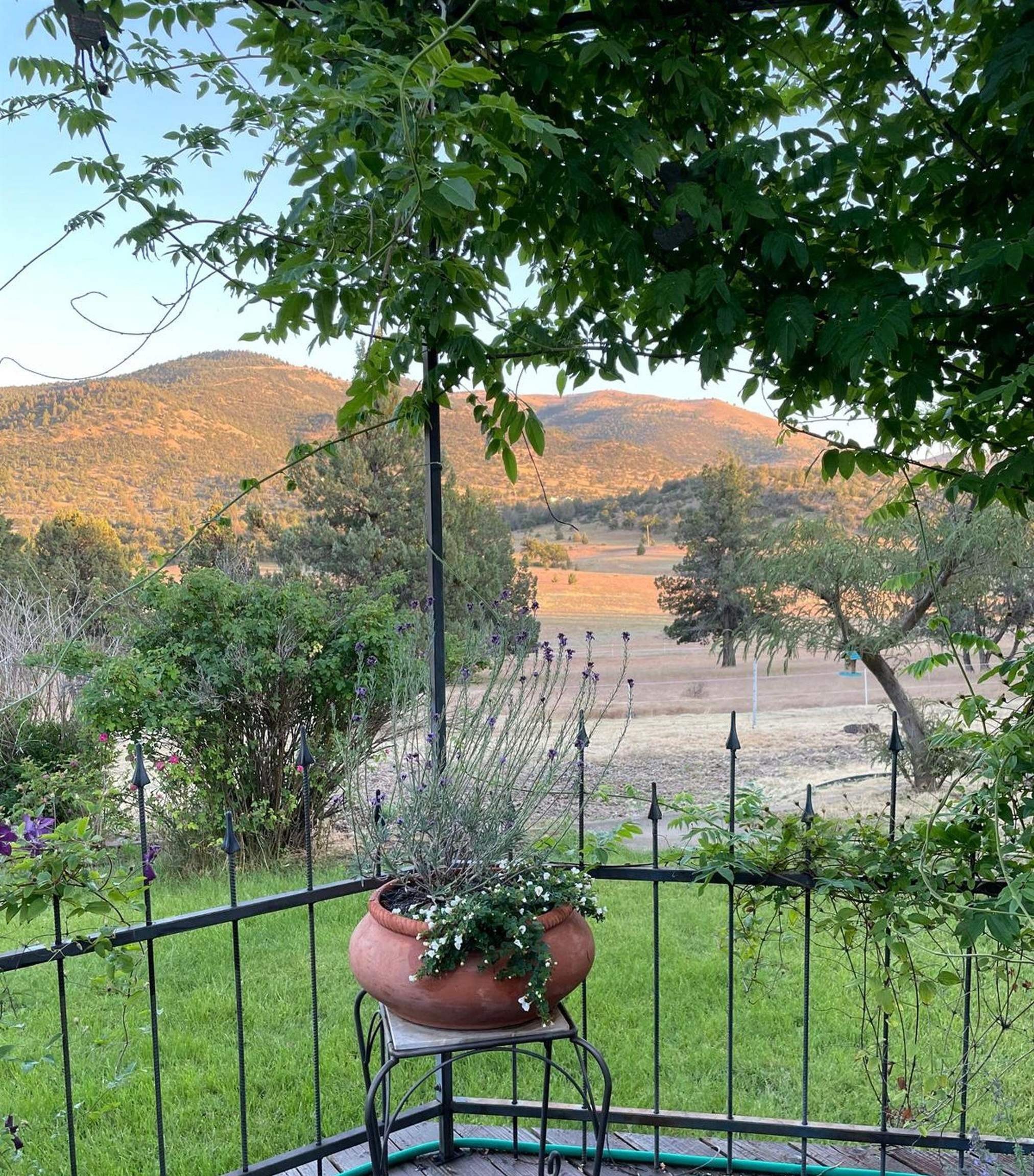 Montague, California, 96064-0000, United States, 3 Bedrooms Bedrooms, ,2 BathroomsBathrooms,Residential,For Sale,2033545