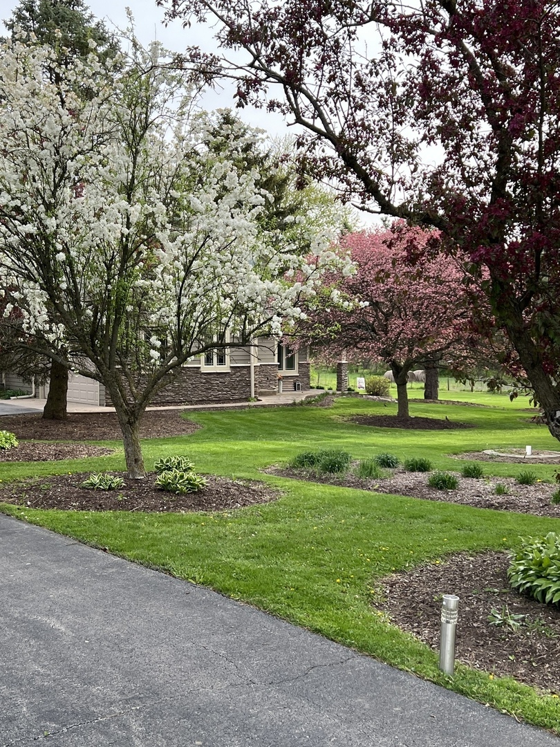 Manhattan, Illinois, 60442, United States, 3 Bedrooms Bedrooms, ,3 BathroomsBathrooms,Residential,For Sale,1939587