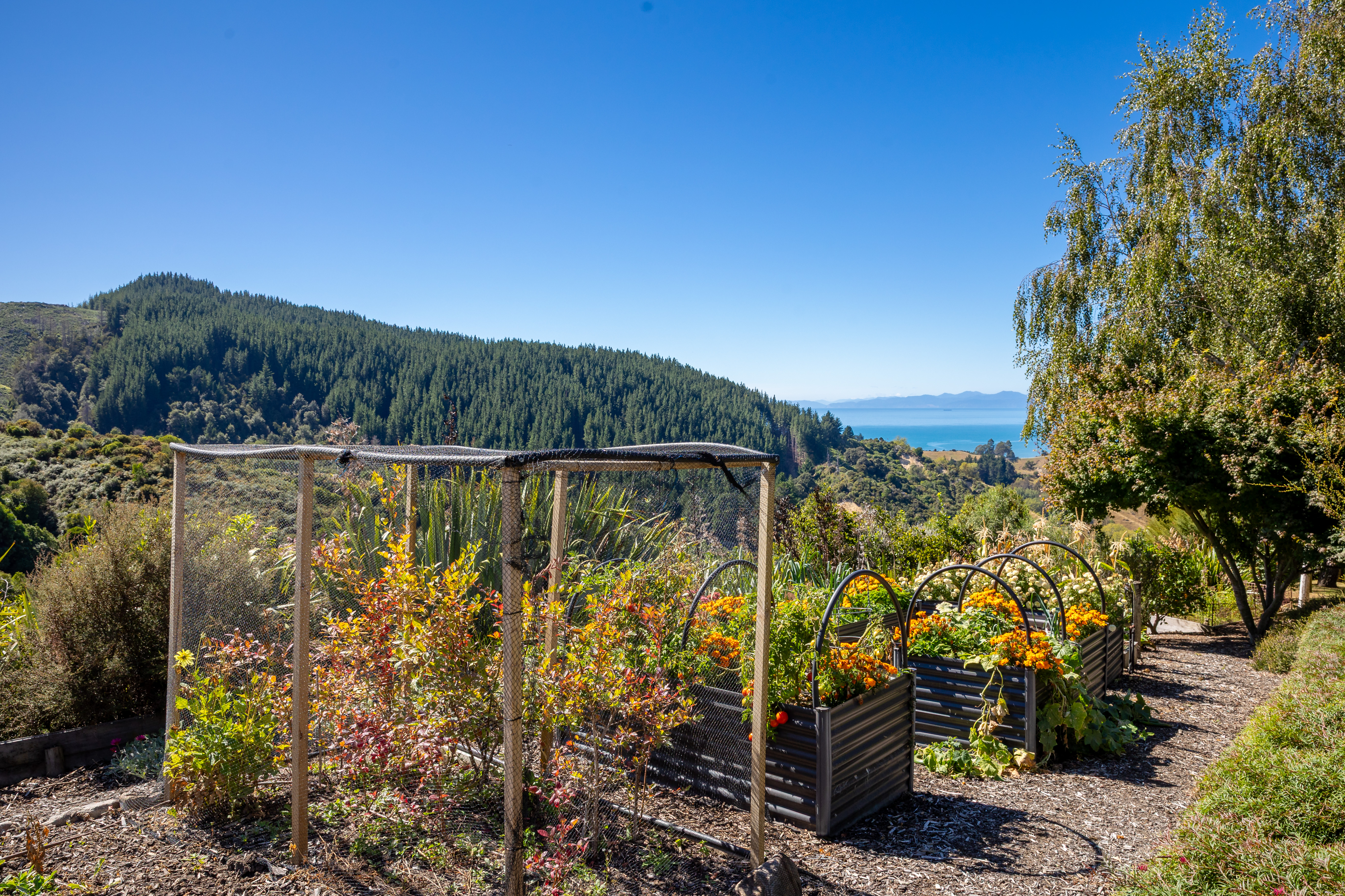  177 Riwaka-Sandy Bay Road, Riwaka - 物件實景