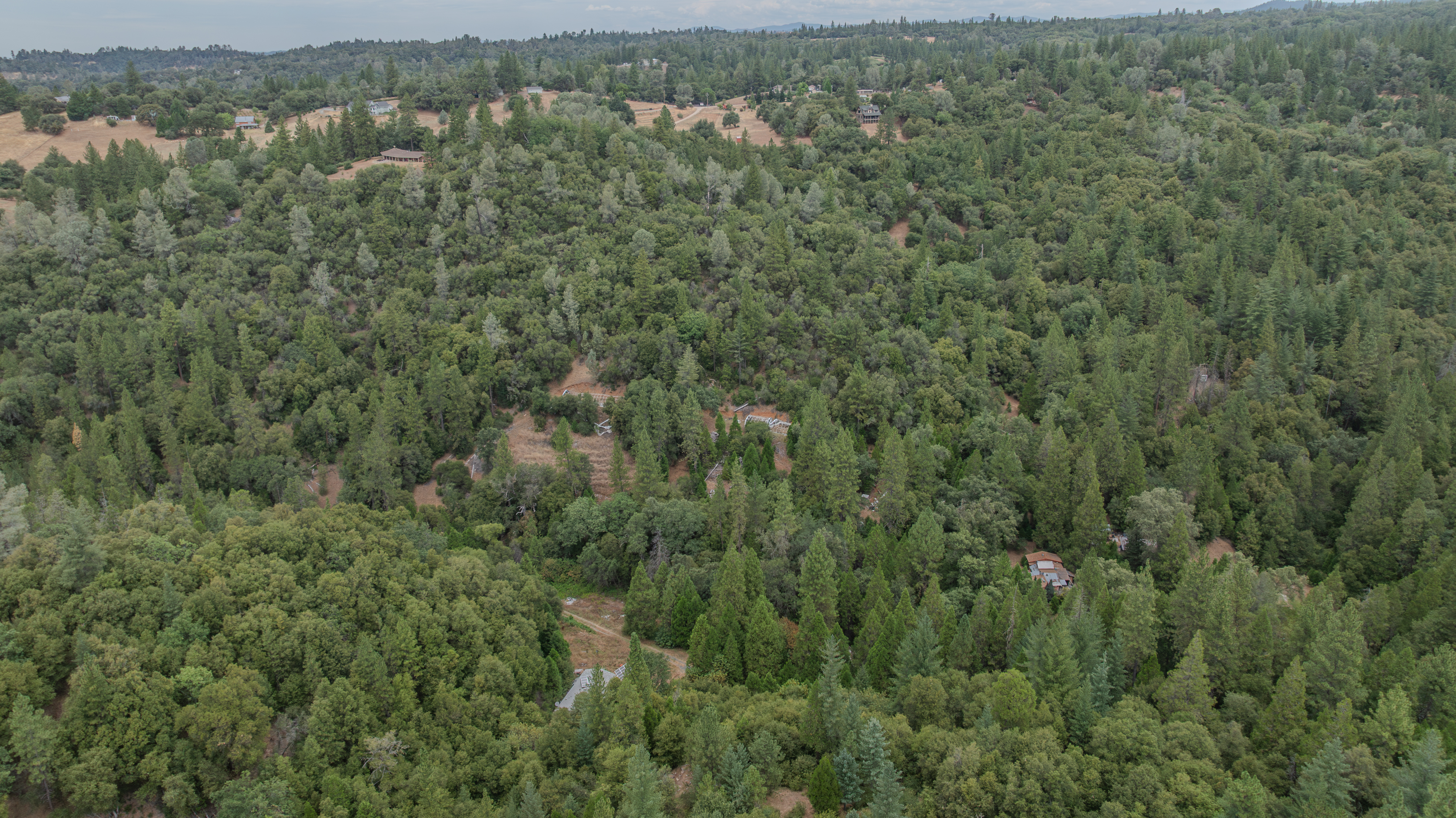  18101 Old River Road, Fiddletown, CA 95629 - 物件實景