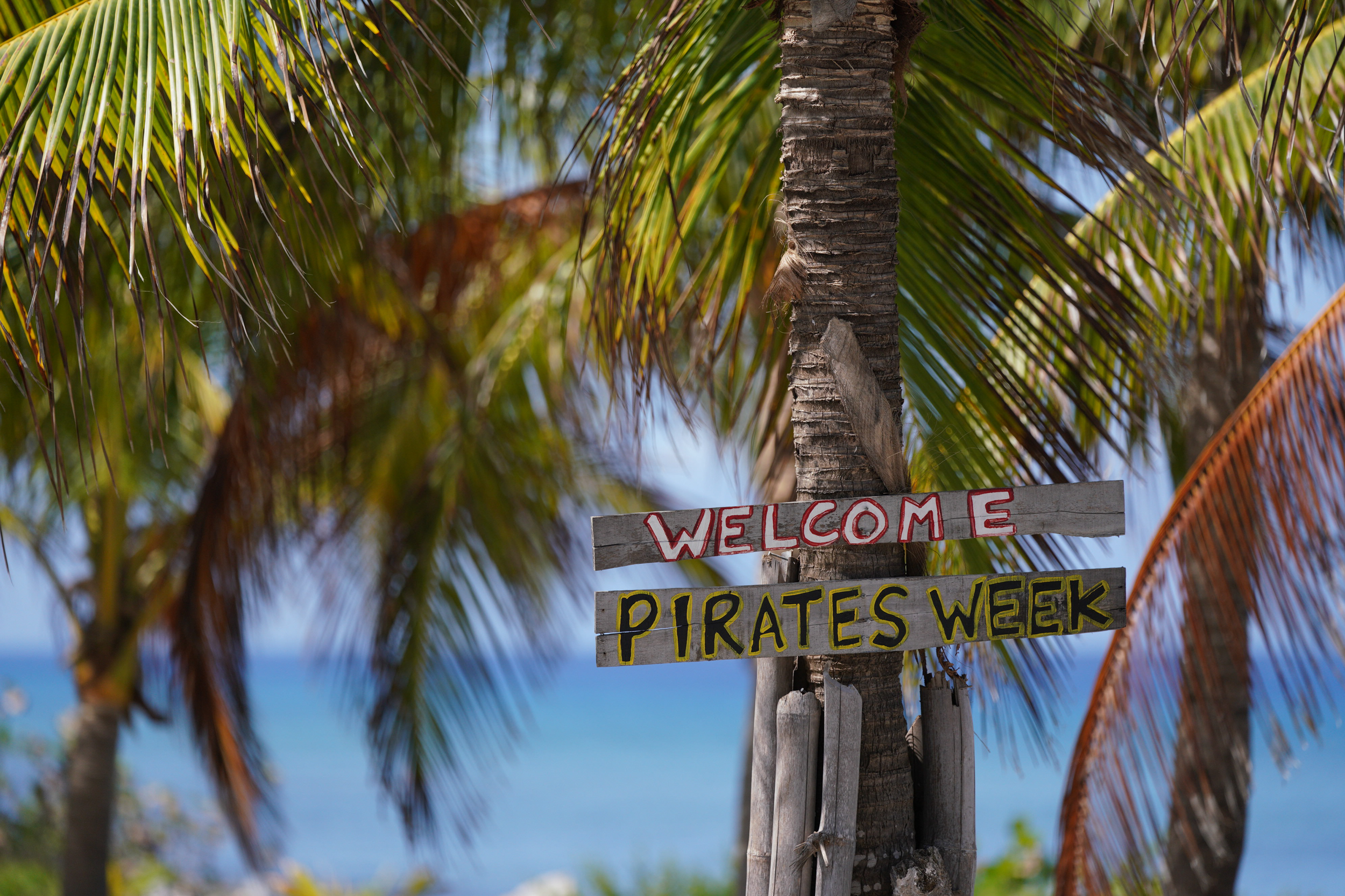  Oceanfront Large Land Parcel - 物件實景