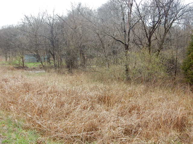 Clermont, Kentucky, 40110, United States, ,Land,For Sale,1980542