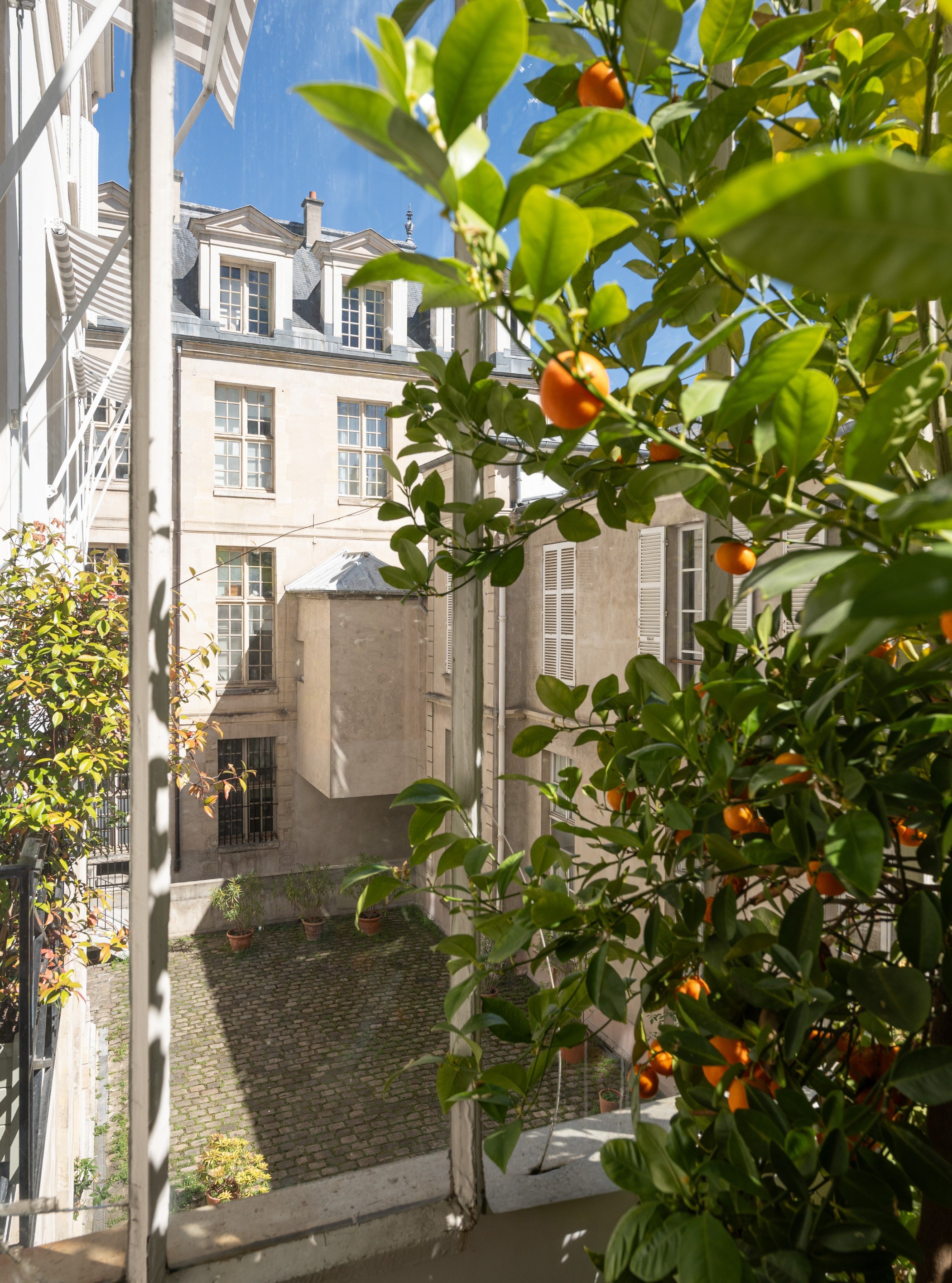 Ile Saint-Louis - Exceptional property - 物件實景
