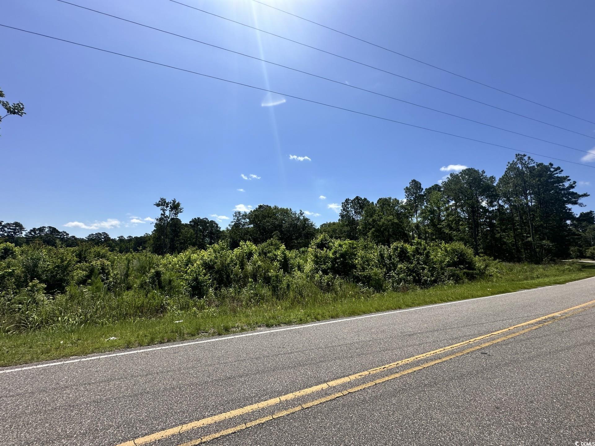 Longs, South Carolina, 29568, United States, ,Land,For Sale,1976577
