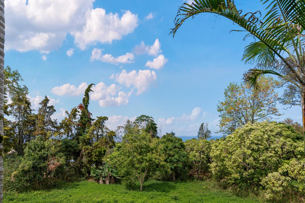 Captain Cook, Hawaii, 96704, United States, 4 Bedrooms Bedrooms, ,3 BathroomsBathrooms,Residential,For Sale,1848181