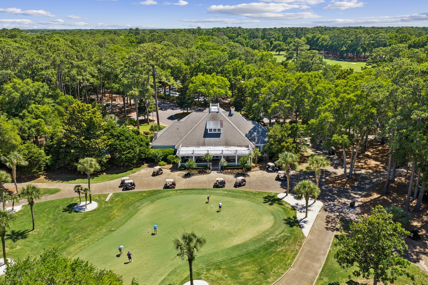  17 Balsams Court, Hilton Head Island - 物件實景