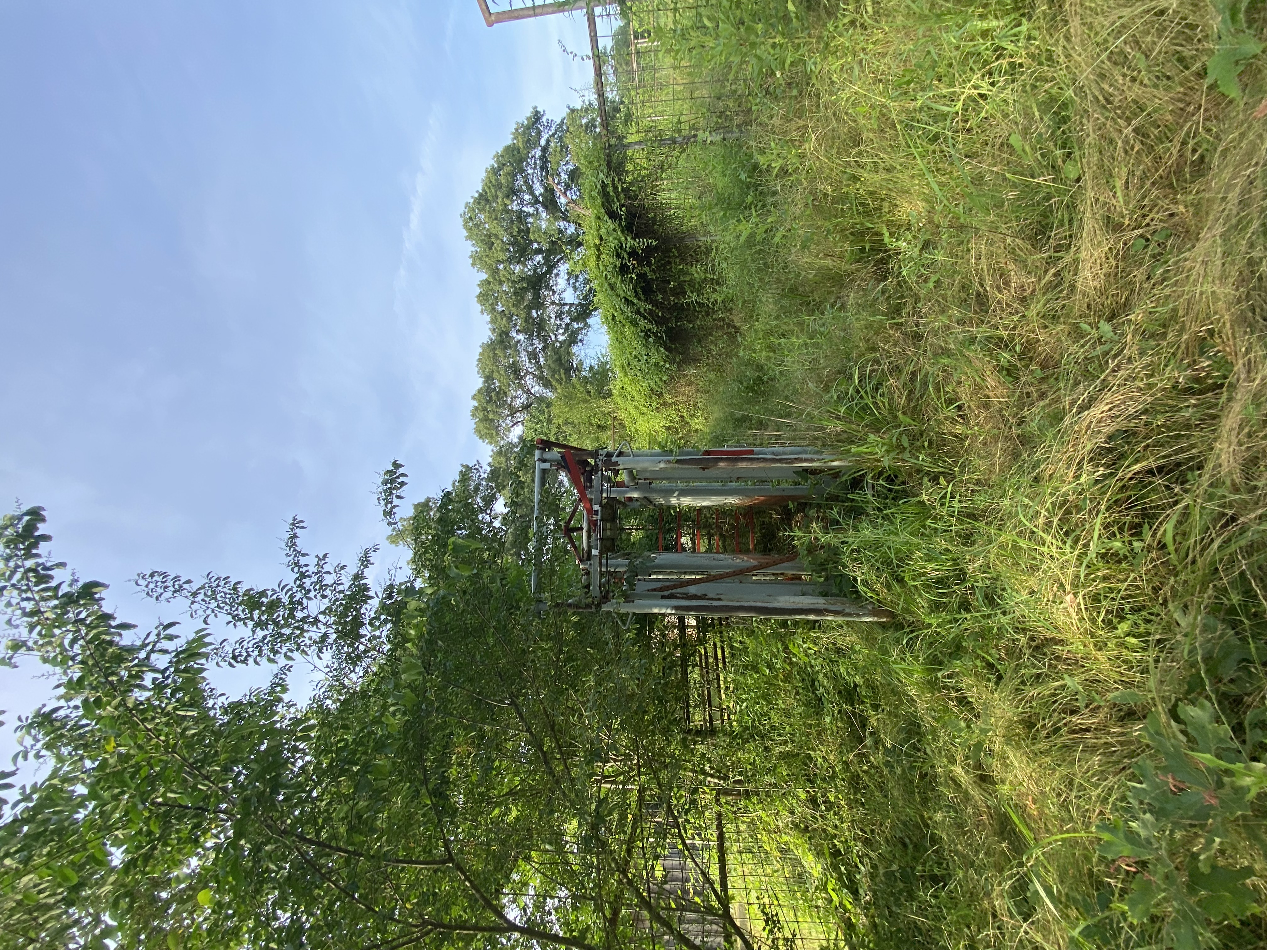 Clarksville, Arkansas, 72830, United States, 7 Bedrooms Bedrooms, ,3 BathroomsBathrooms,Residential,For Sale,2005713