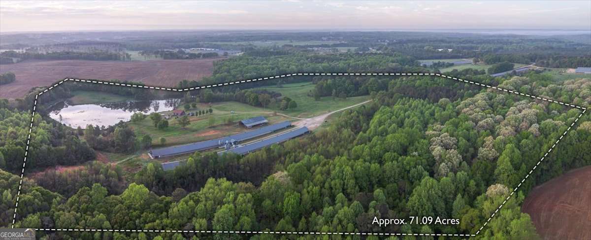 Royston, Georgia, 30662, United States, ,Land,For Sale,1829562