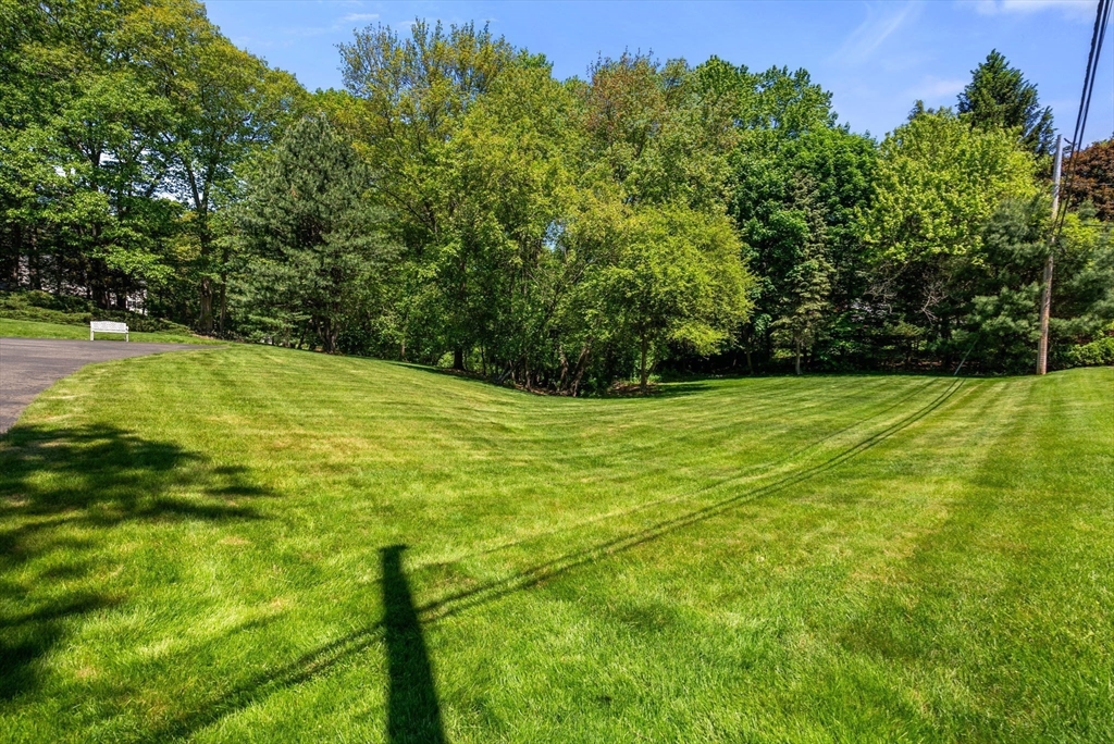 Weston, Massachusetts, 02493, United States, 4 Bedrooms Bedrooms, ,3 BathroomsBathrooms,Residential,For Sale,1838701