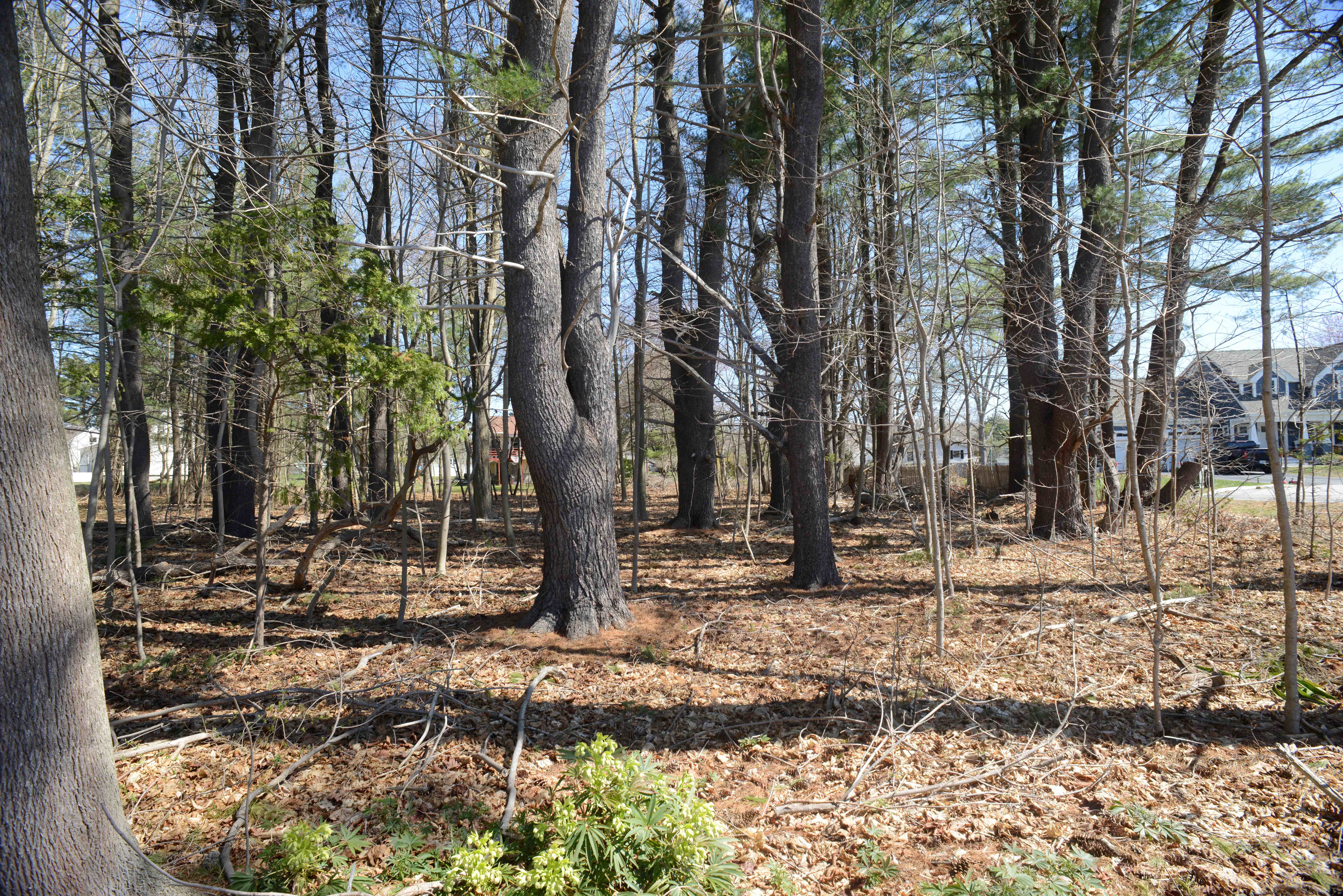 Hampton, New Hampshire, 03842, United States, ,Land,For Sale,1777257