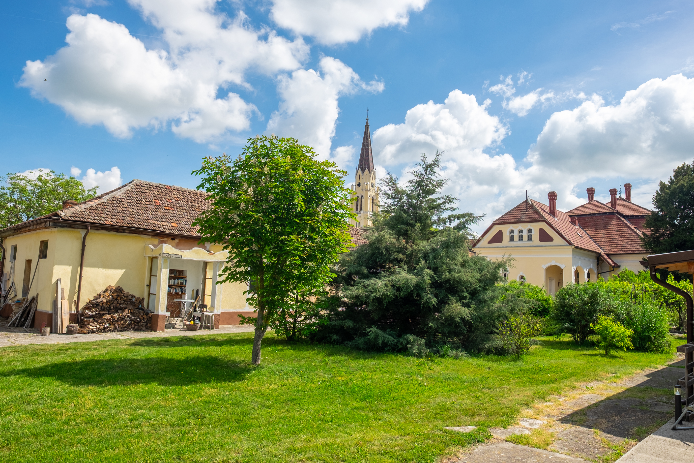  Ferch Manor - History and Tradition near Timioara - 物件實景