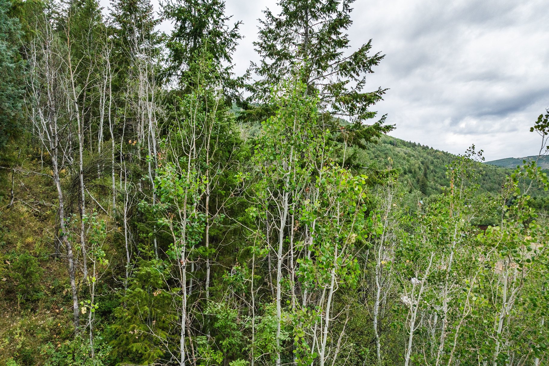  One+ Acre Off Mirror Lake Highway  Power, Septic Plan & Year Round Access - 物件實景