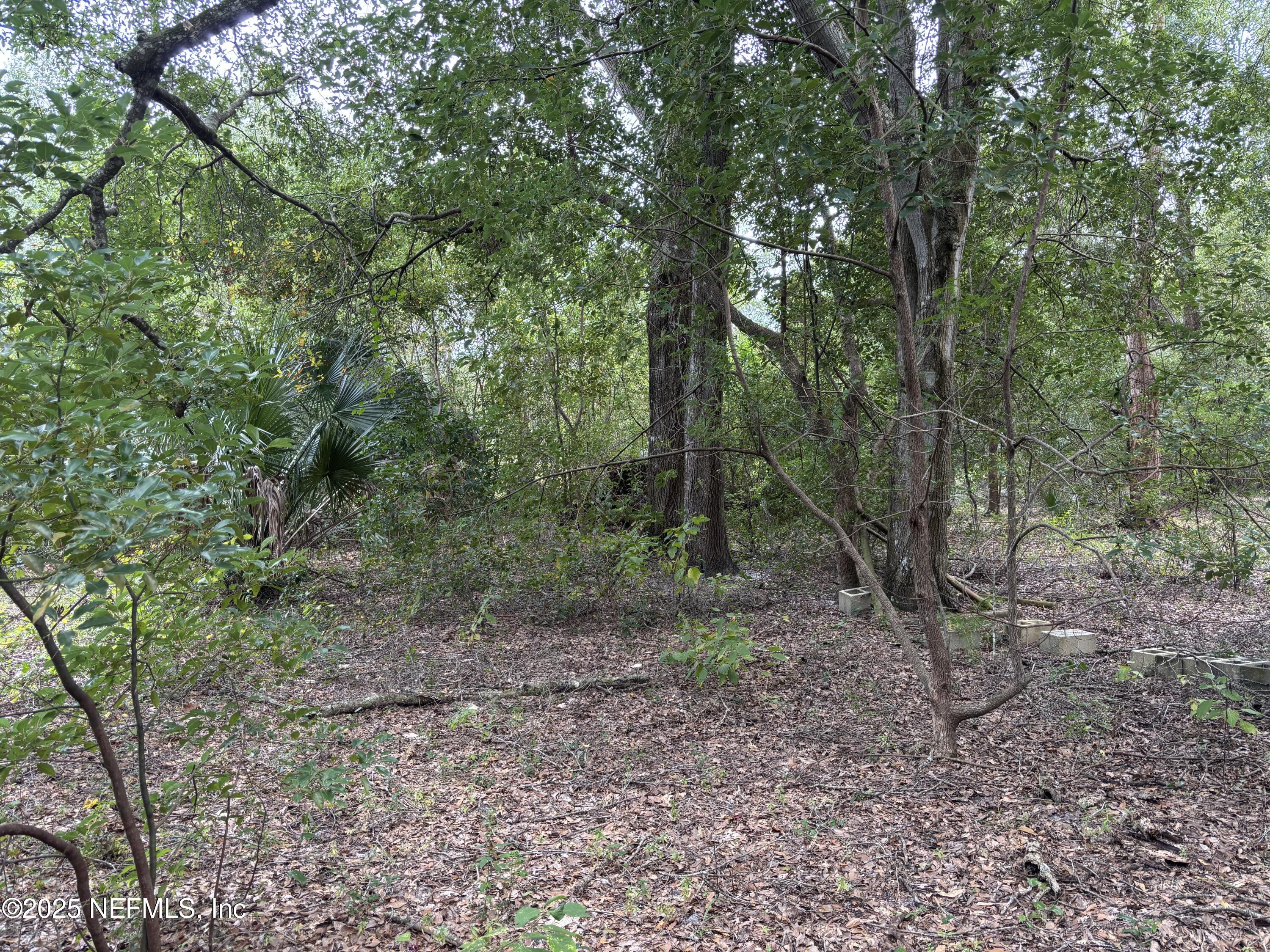 Apopka, Florida, 32712, United States, ,Land,For Sale,2002894