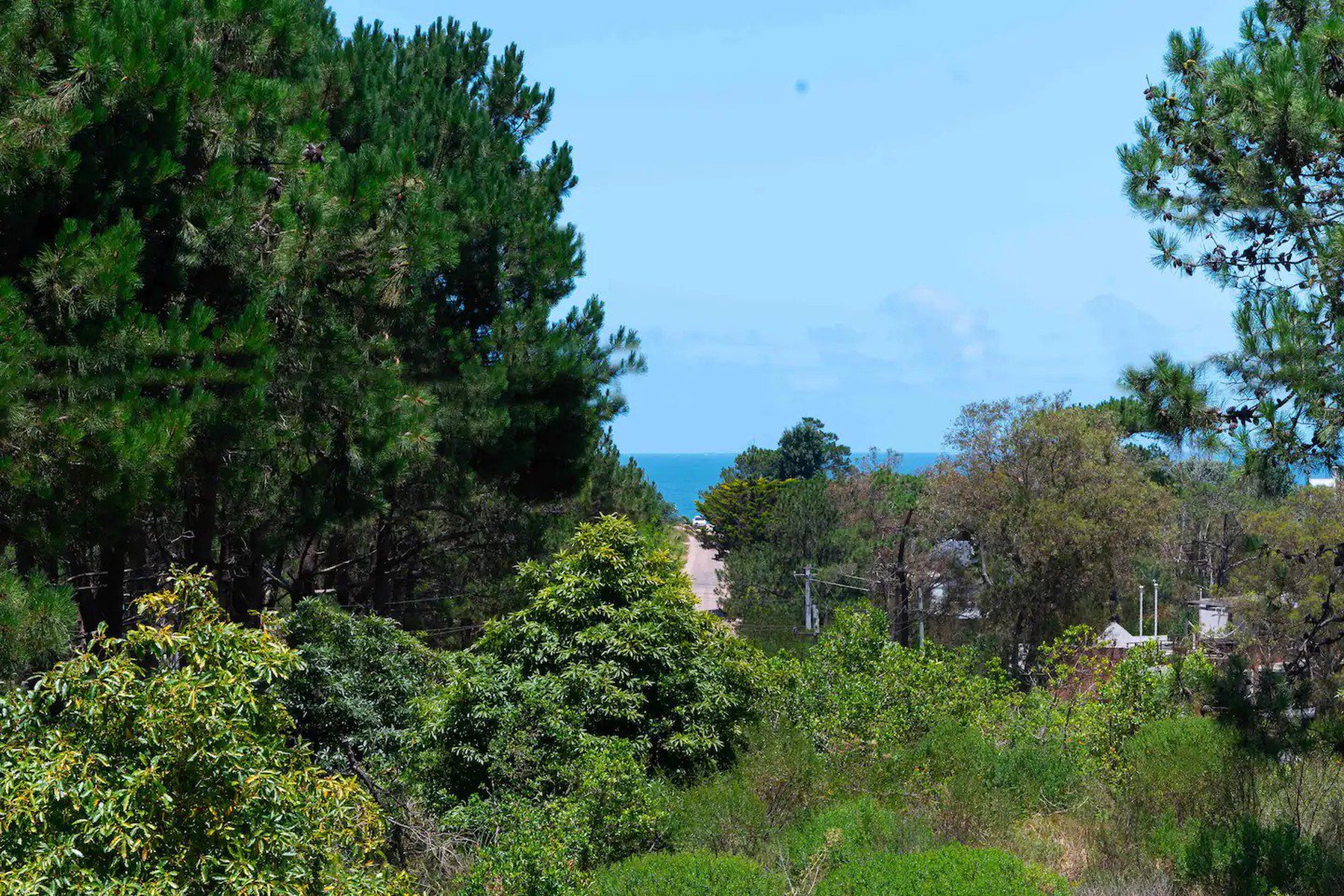  Modern Property with Sea View in La Barra - 物件實景
