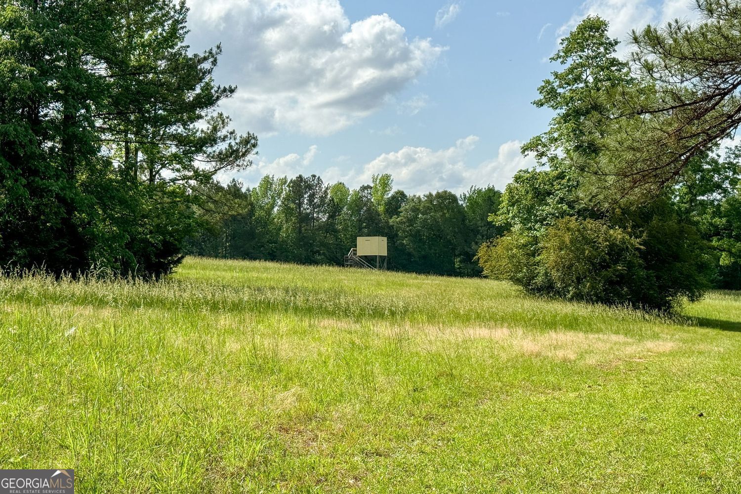 Molena, Georgia, 30258, United States, ,Residential,For Sale,1894601