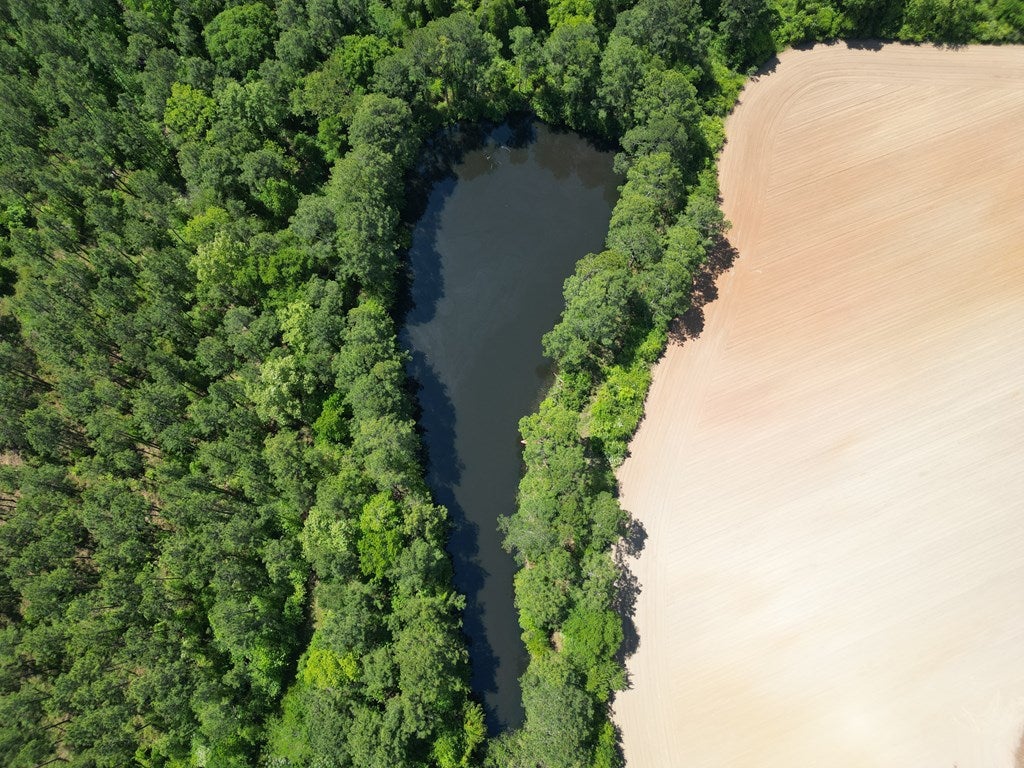 Cordele, Georgia, 31015, United States, ,Residential,For Sale,1982733