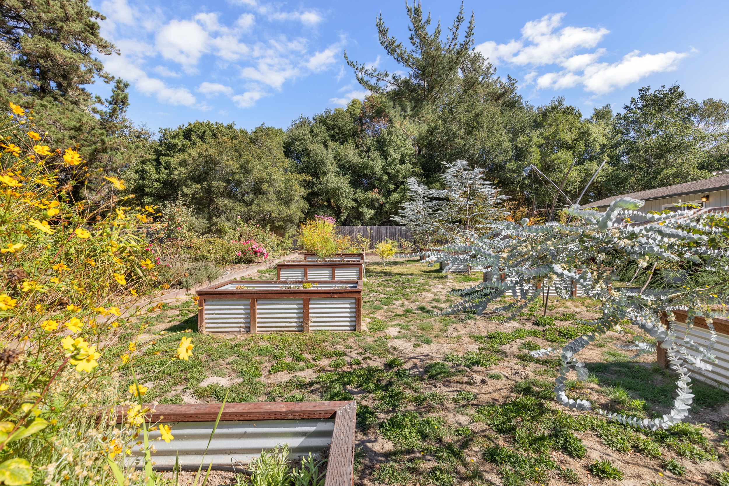  Country Charm, Creative Spaces and an Acre of Possibilities in Sebastopol - 物件實景