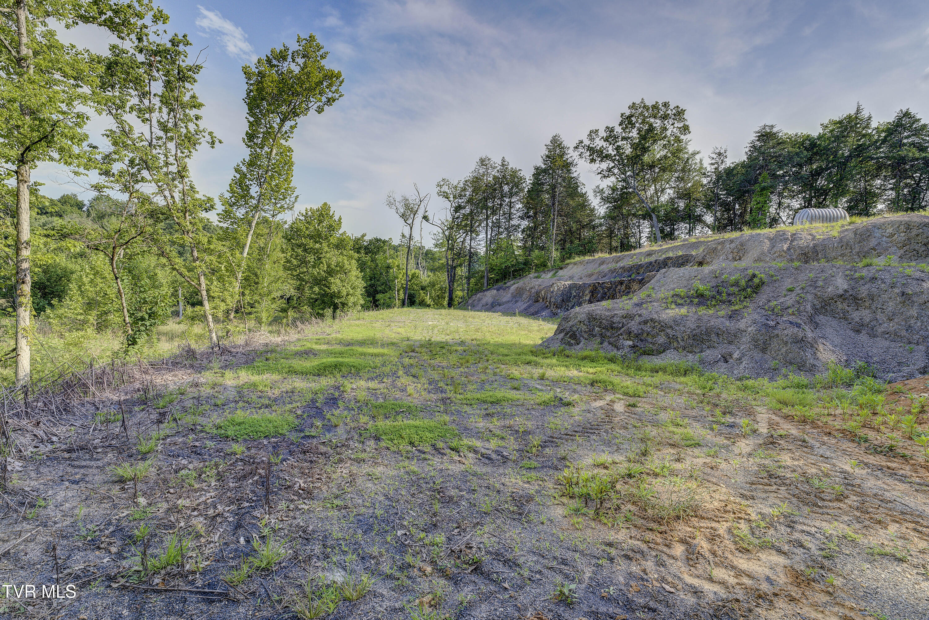 Piney Flats, Tennessee, 37686, United States, ,Land,For Sale,1983828