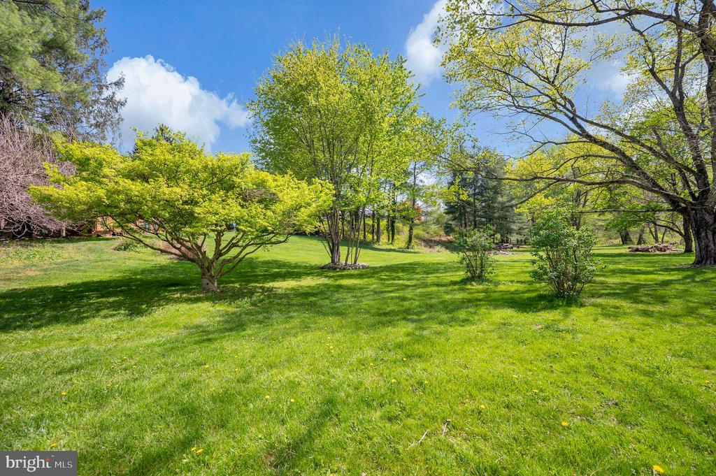 Linden, Virginia, 22642, United States, 5 Bedrooms Bedrooms, ,4 BathroomsBathrooms,Residential,For Sale,2037897