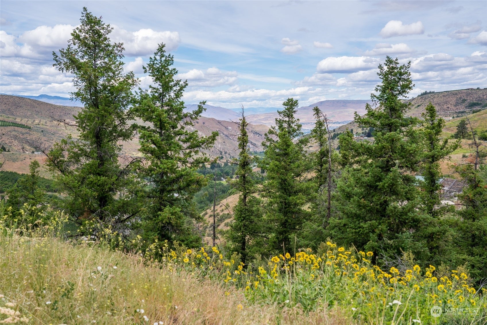 Wenatchee, Washington, 98801, United States, ,Land,For Sale,1690373