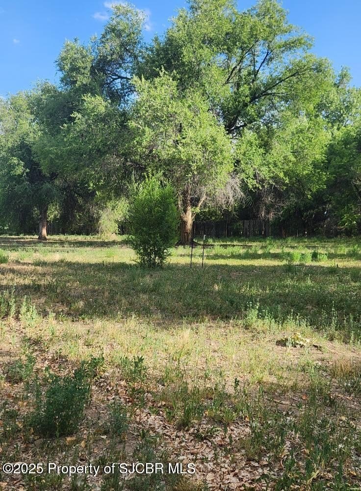 Flora Vista, New Mexico, 87415, United States, 5 Bedrooms Bedrooms, ,3 BathroomsBathrooms,Residential,For Sale,1926388