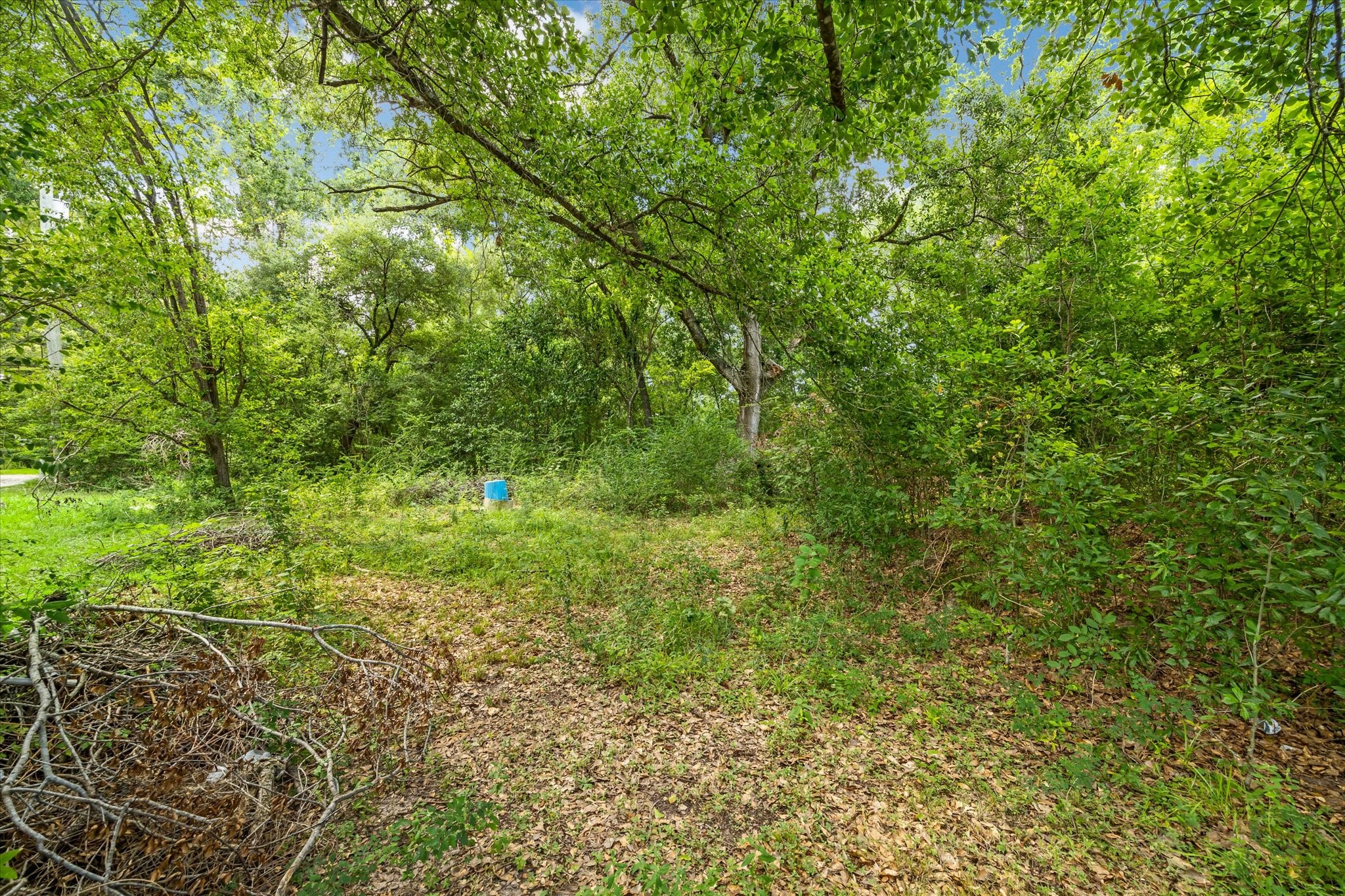  616 Spring Cypress Road - 物件實景