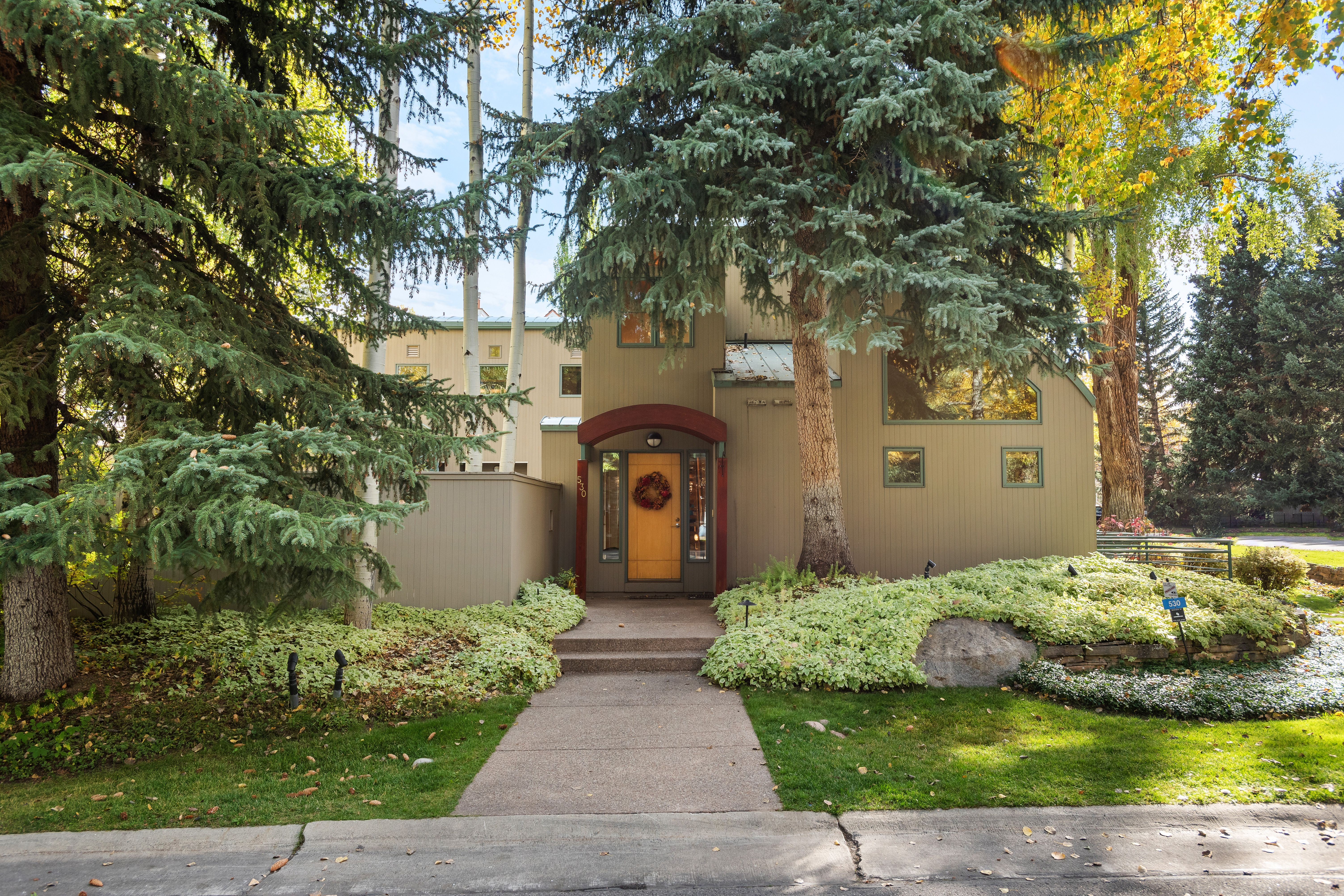  530 West Francis Street, Aspen, CO 81611 - 物件實景