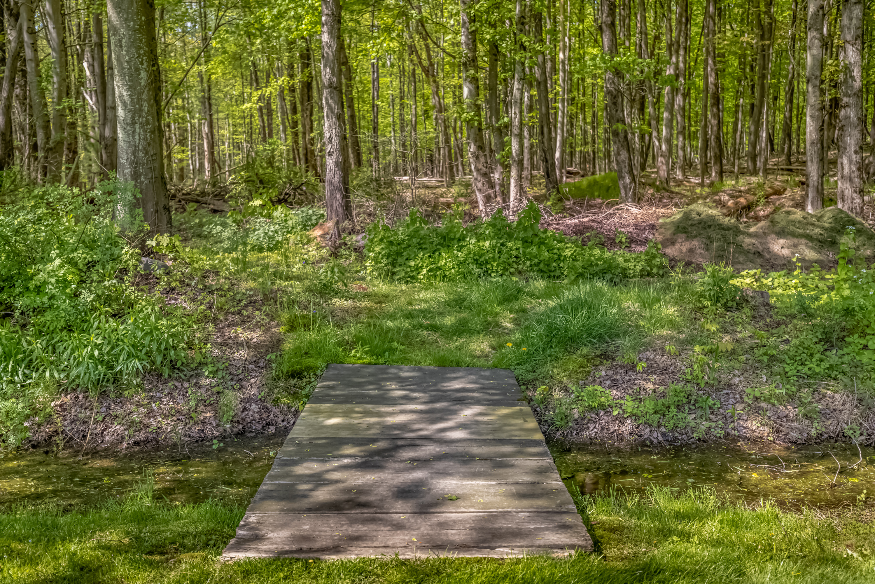  110 Cottontail Lane, Woodstock, NY 12498 - 物件實景