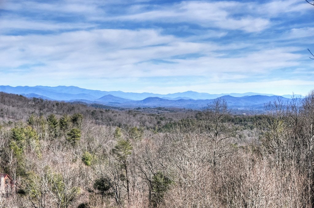 Mineral Bluff, Georgia, 30559, United States, 4 Bedrooms Bedrooms, ,4 BathroomsBathrooms,Residential,For Sale,2010498