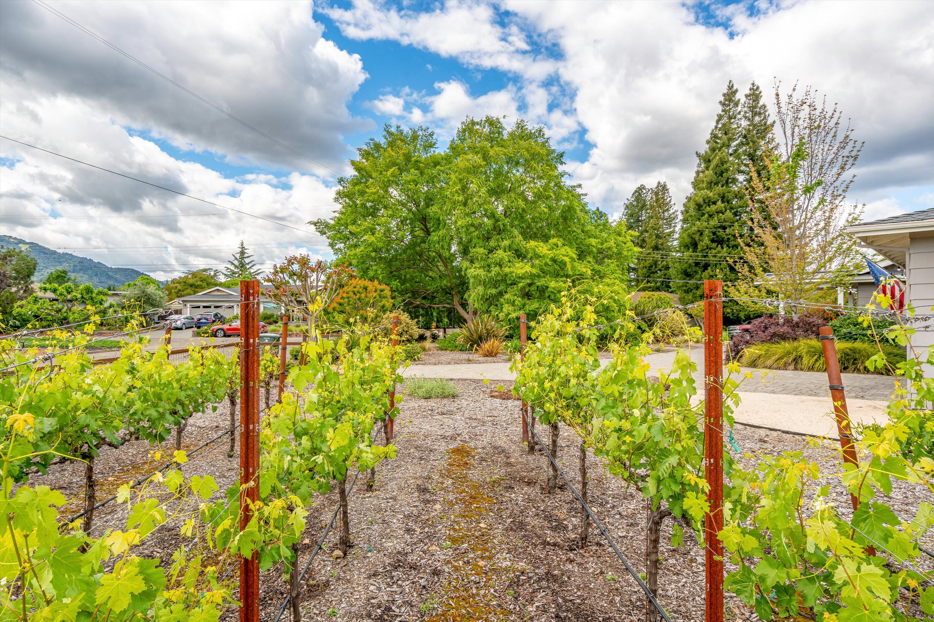  960 Lark Ave - 物件實景