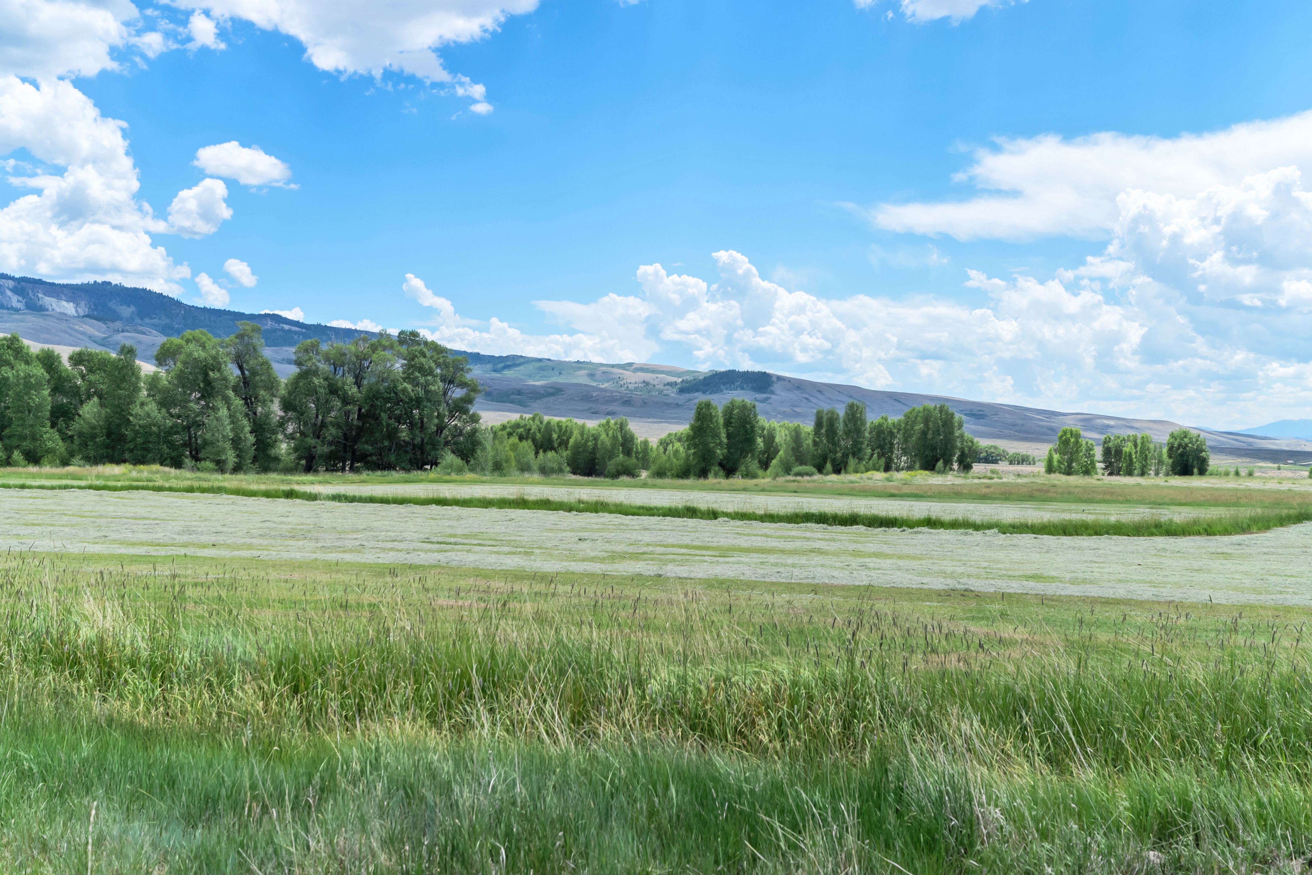  Rocking TP Ranch LLC - 物件實景