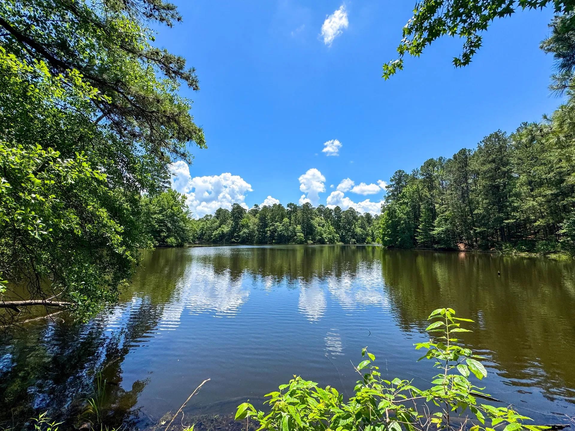 Douglassville, Texas, 75560, United States, ,Land,For Sale,2048006