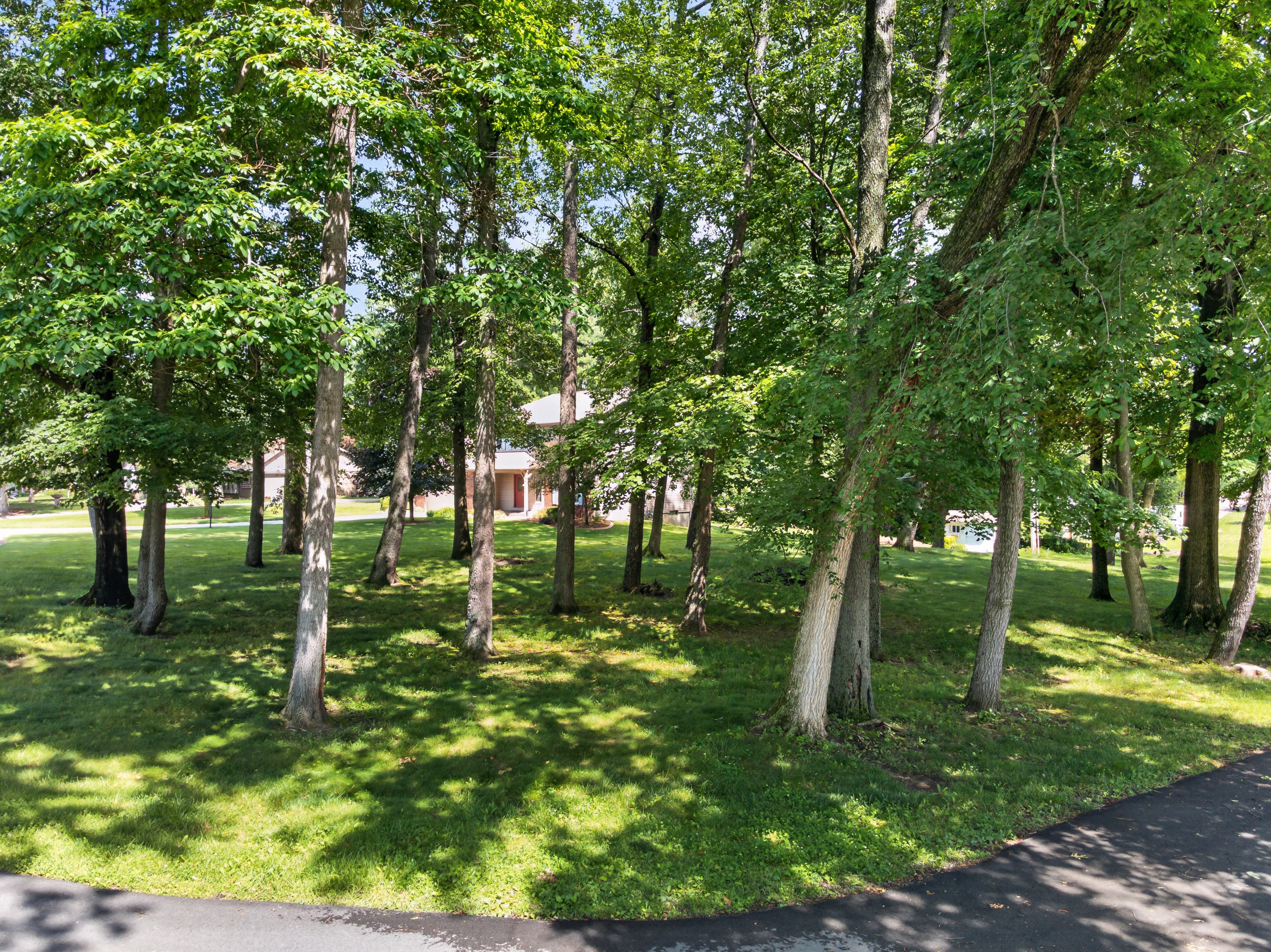  Well-Maintained 4 Bedroom Home on a Beautifully Landscaped Lot - 物件實景