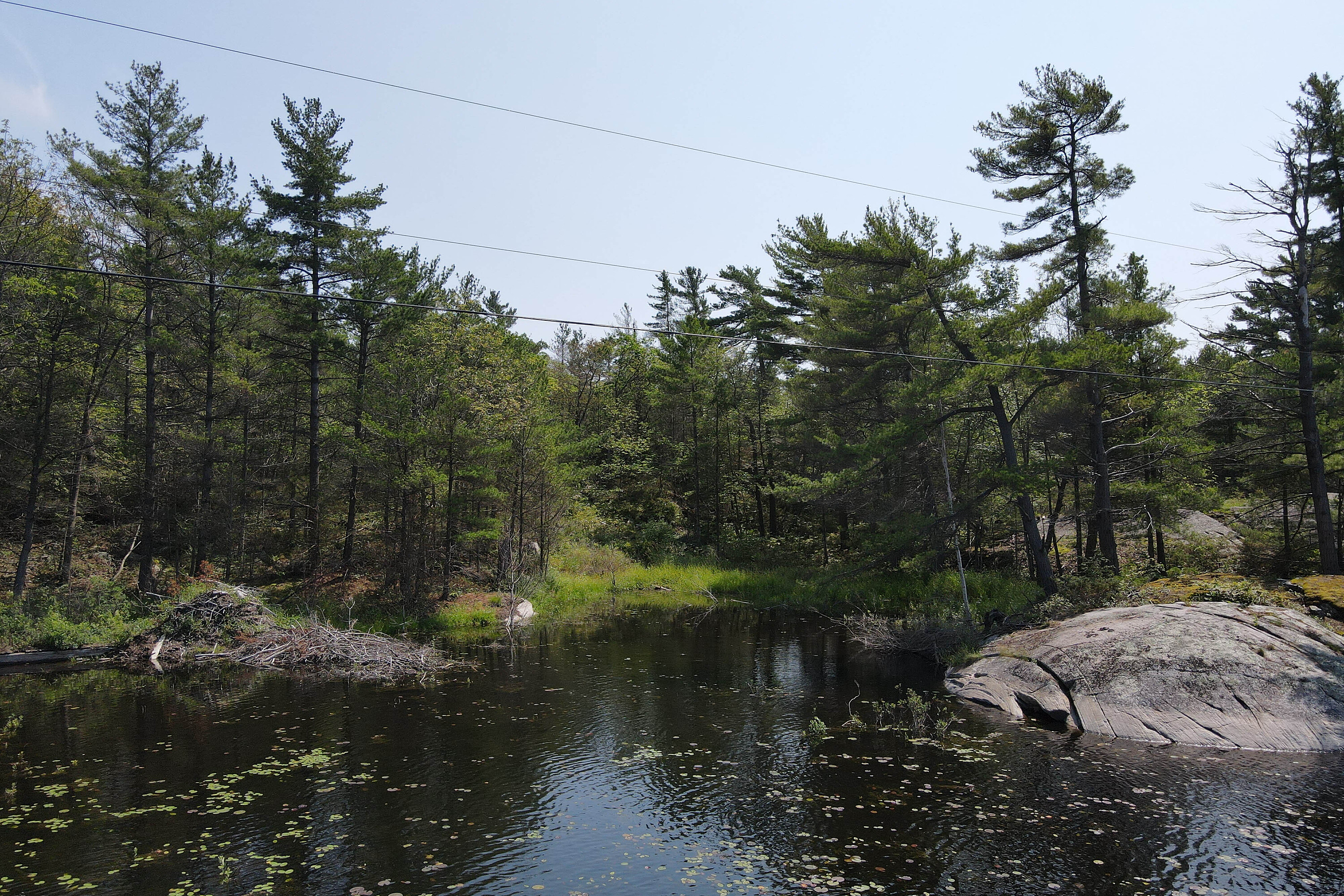  Vacant Lot on Georgian Bay - 物件實景