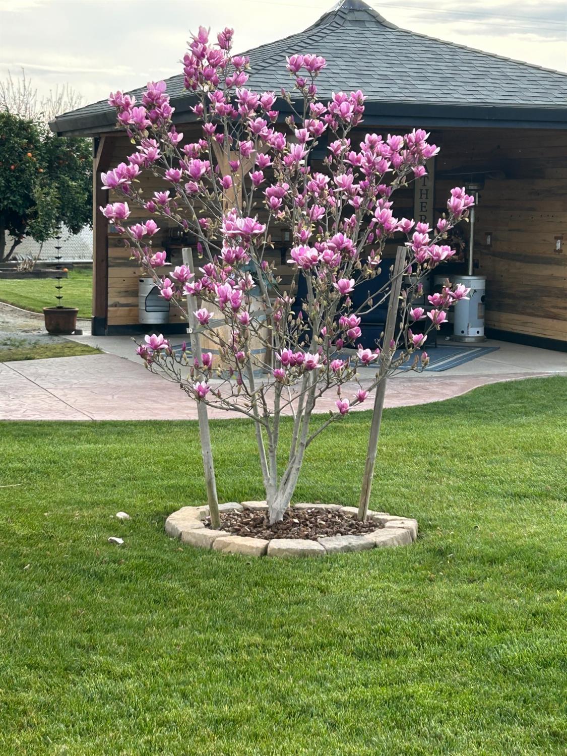 Delhi, California, 95315, United States, 3 Bedrooms Bedrooms, ,4 BathroomsBathrooms,Residential,For Sale,1975703