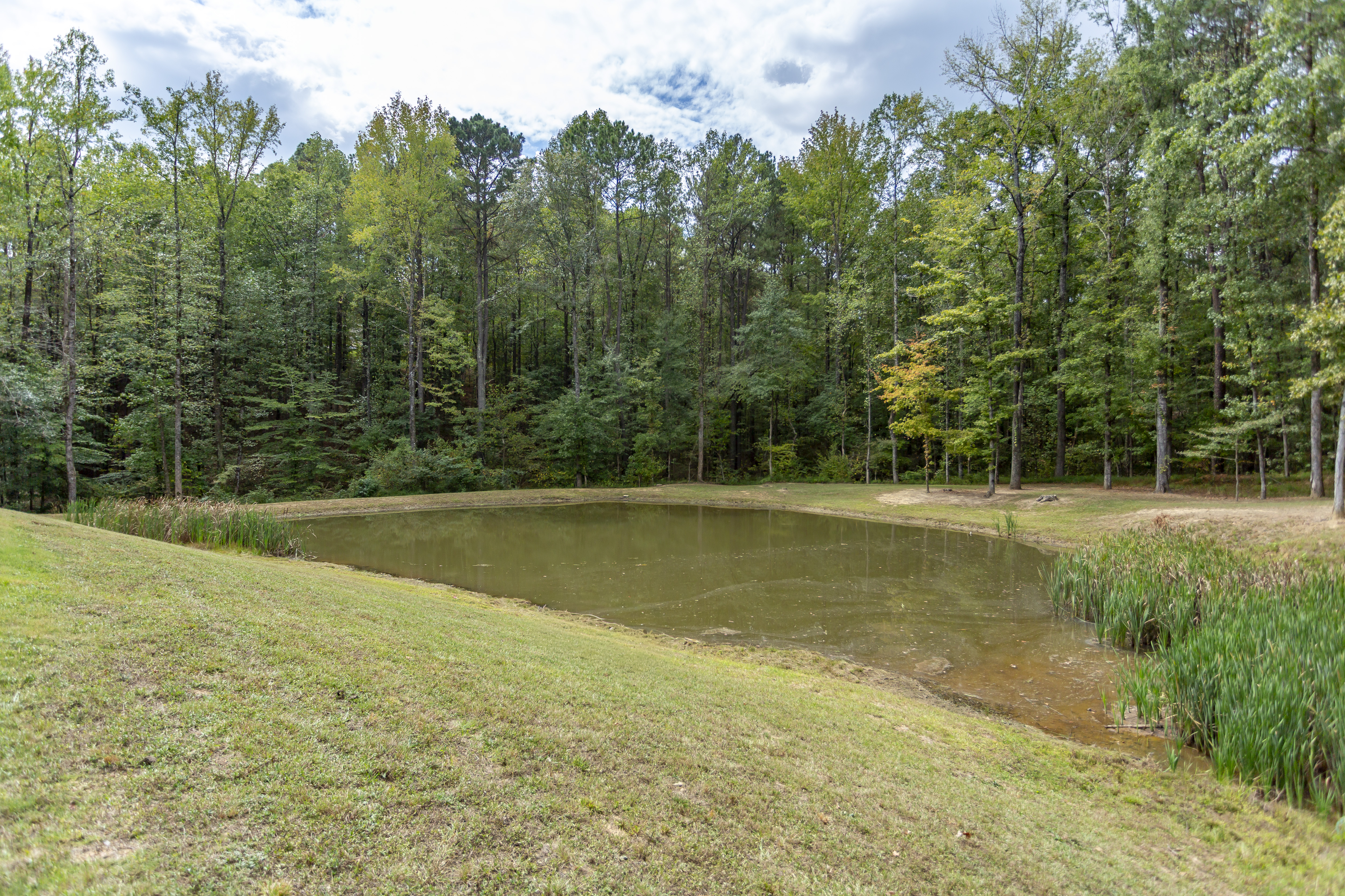 Helena, Alabama, 35080, United States, 5 Bedrooms Bedrooms, ,5 BathroomsBathrooms,Residential,For Sale,1979427