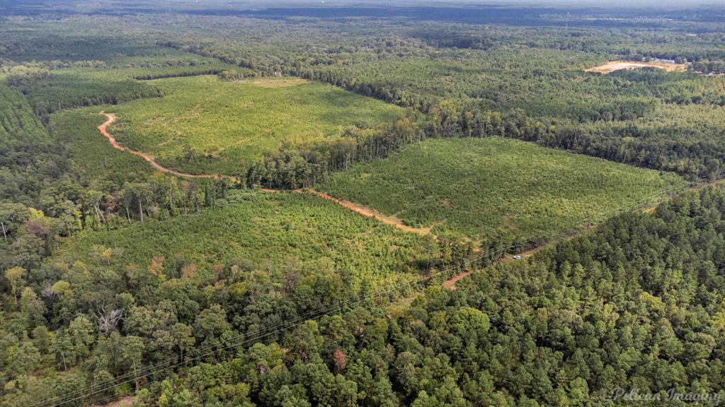 0 Highway 157 Highway, Haughton, Louisiana, 71037, United States, ,Land,For Sale,0 Highway 157 Highway,1646378