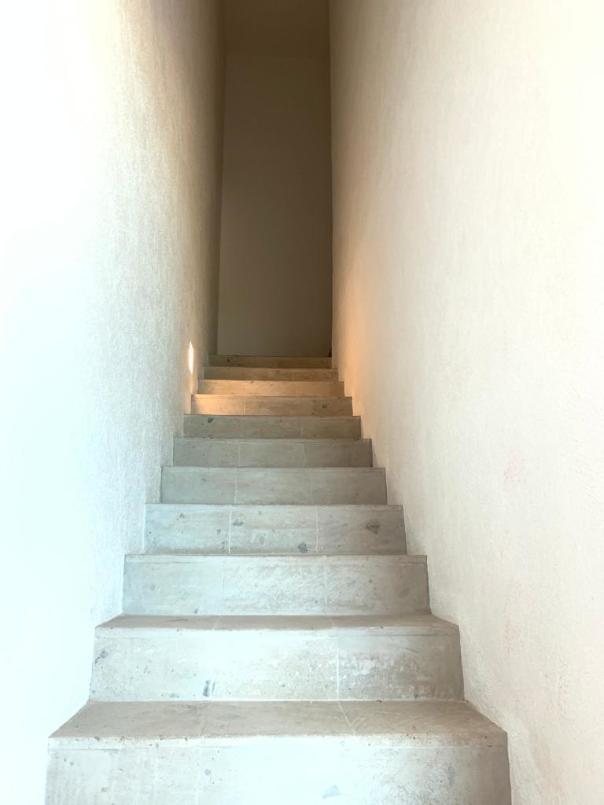 GUILLERMO GONZ?LEZ CAMARENA, Álvaro Obregón, Ciudad de México, 01210, Mexico, 3 Bedrooms Bedrooms, ,2 BathroomsBathrooms,Residential,For Sale,GUILLERMO GONZ?LEZ CAMARENA,1441243