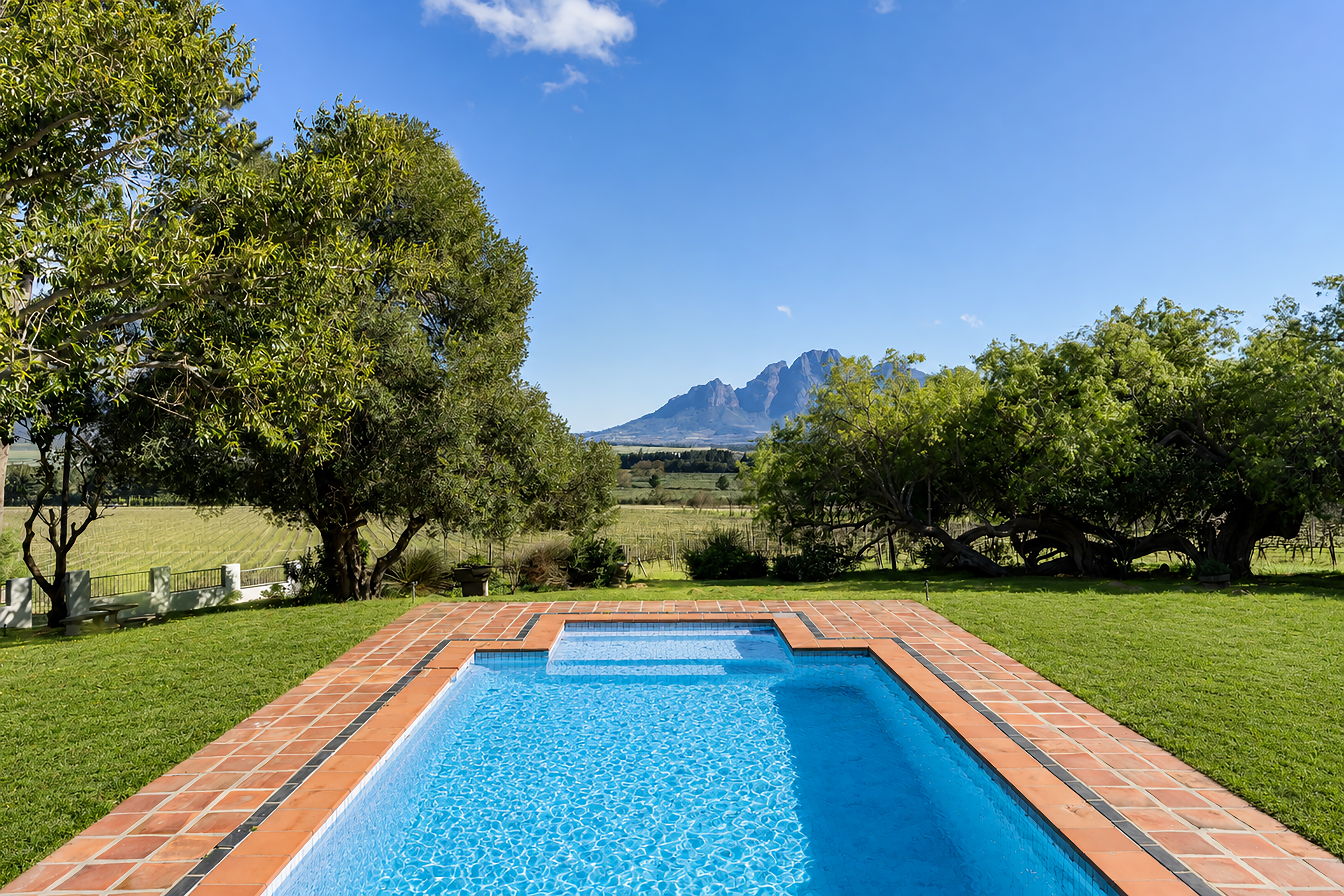  An Exceptional Boutique Wine Estate in the Heart of the Cape Winelands - 物件實景