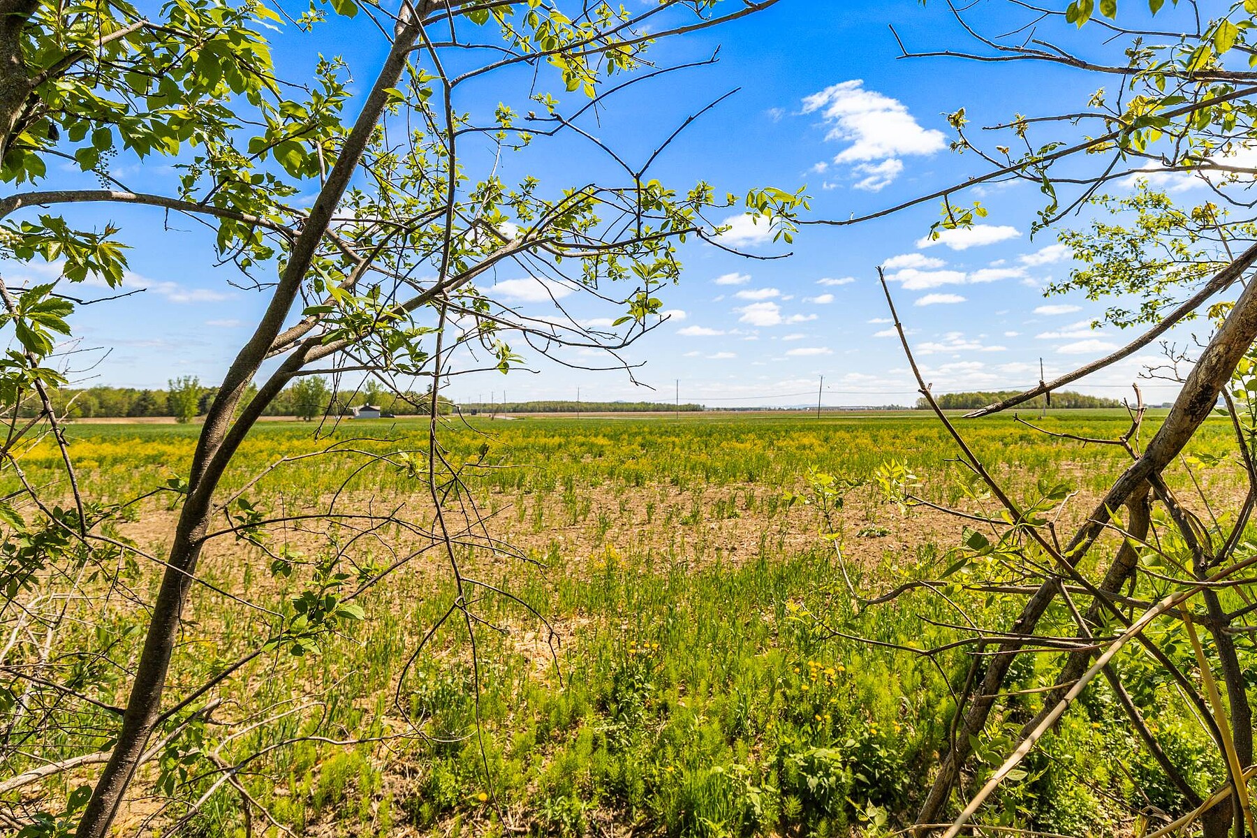  Carignan, Montérégie - 物件實景