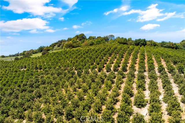 Temecula, California, 92590, United States, ,Land,For Sale,1988862
