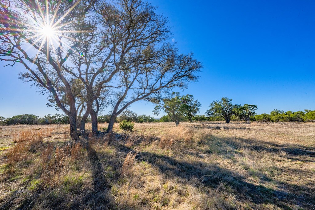 Kerrville, Texas, 78028, United States, 4 Bedrooms Bedrooms, ,5 BathroomsBathrooms,Residential,For Sale,1735504
