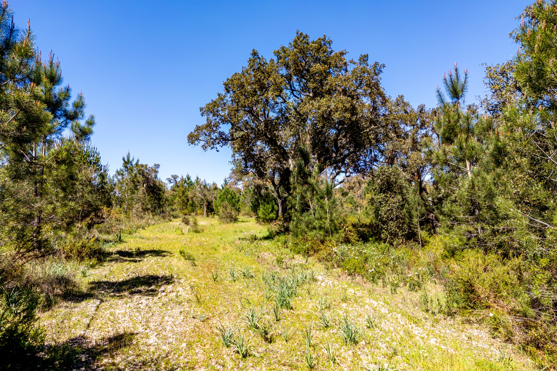  Stand for Sale - 物件實景